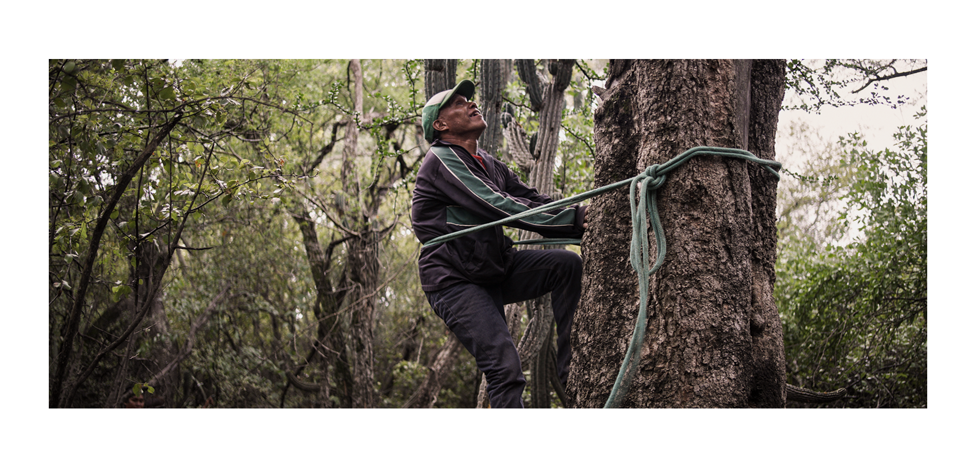 Amajnane Tree Climbing.png