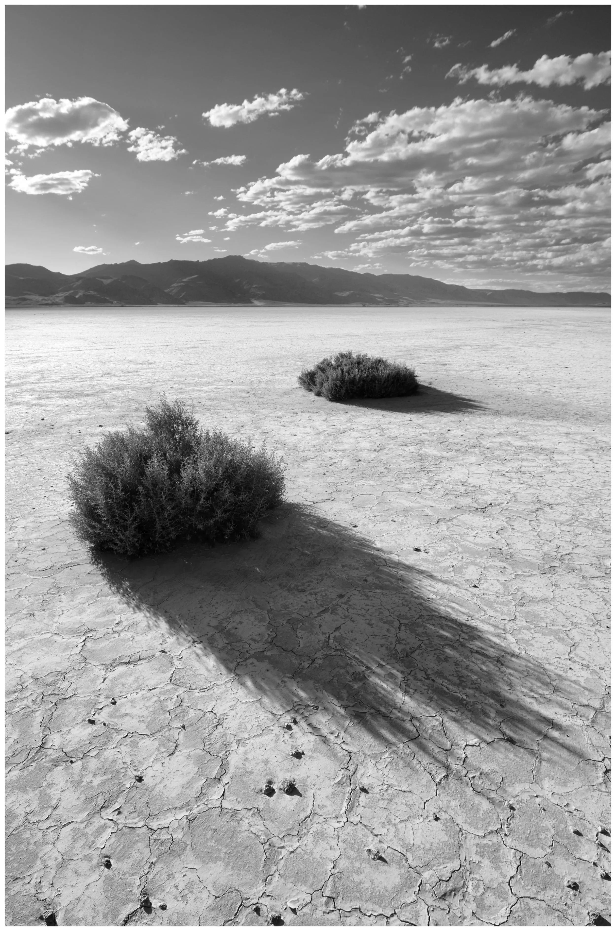 Alvord Desert