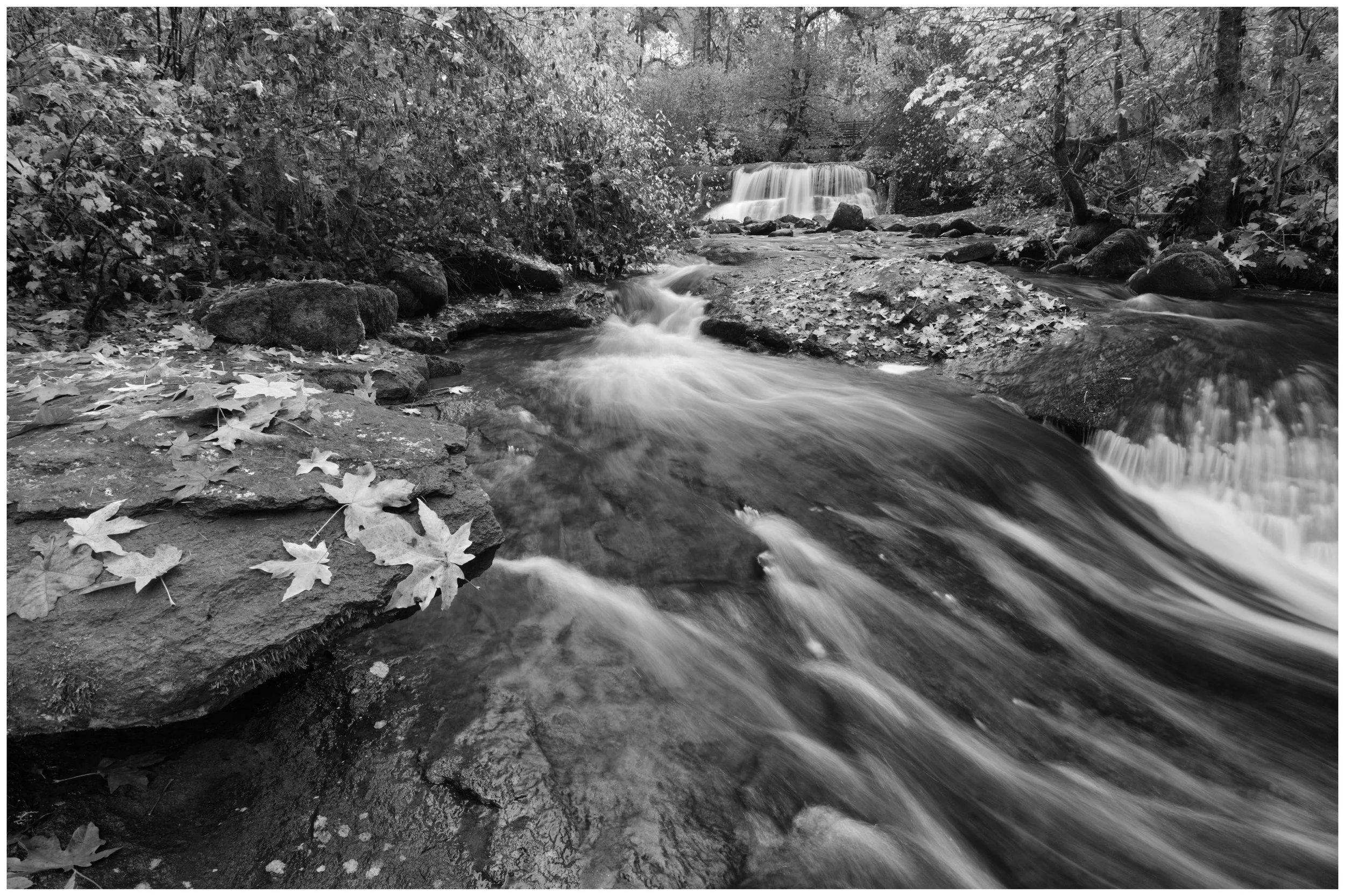 McDowell Creek