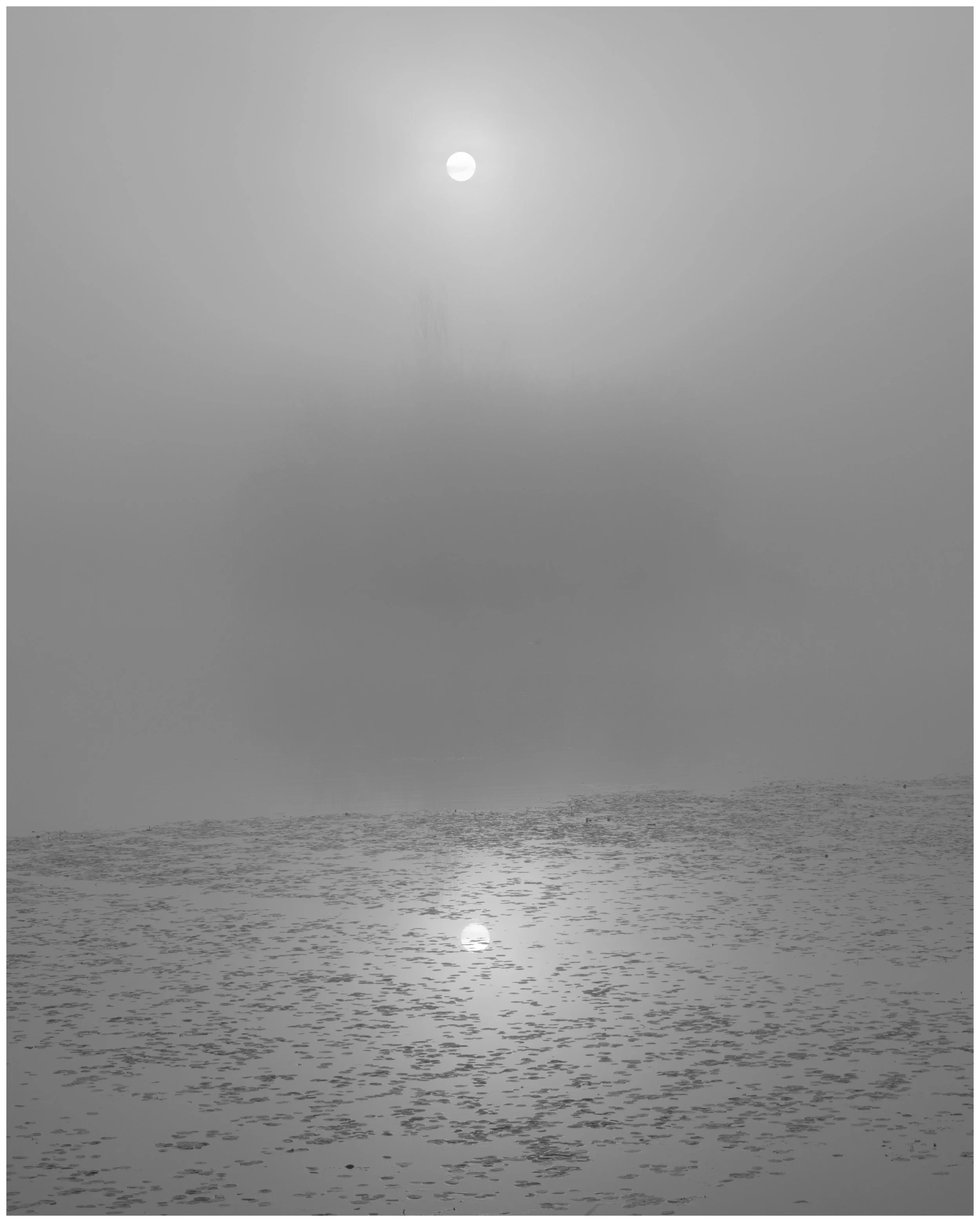 Burning Through The Fog