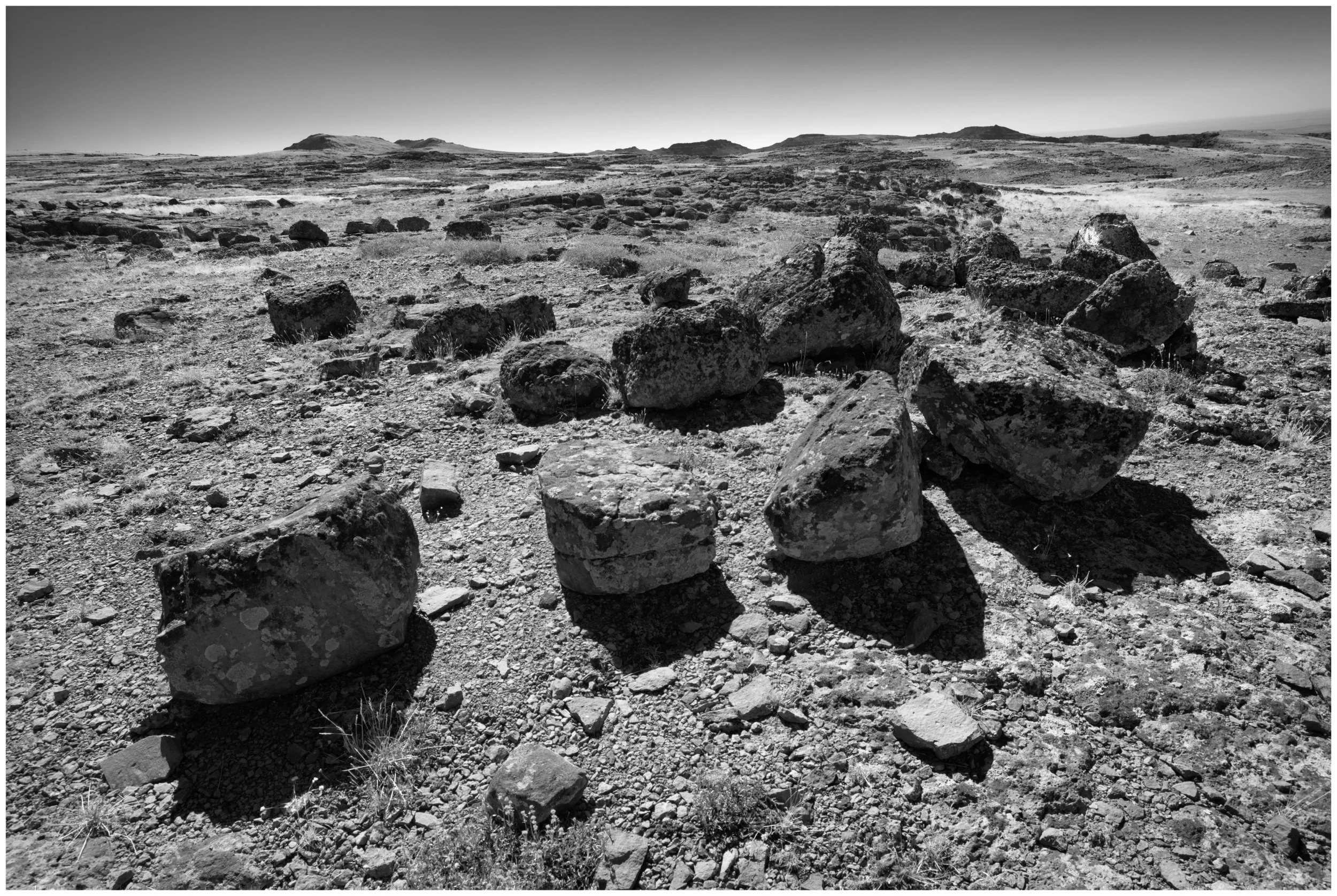 Steens Rock Garden