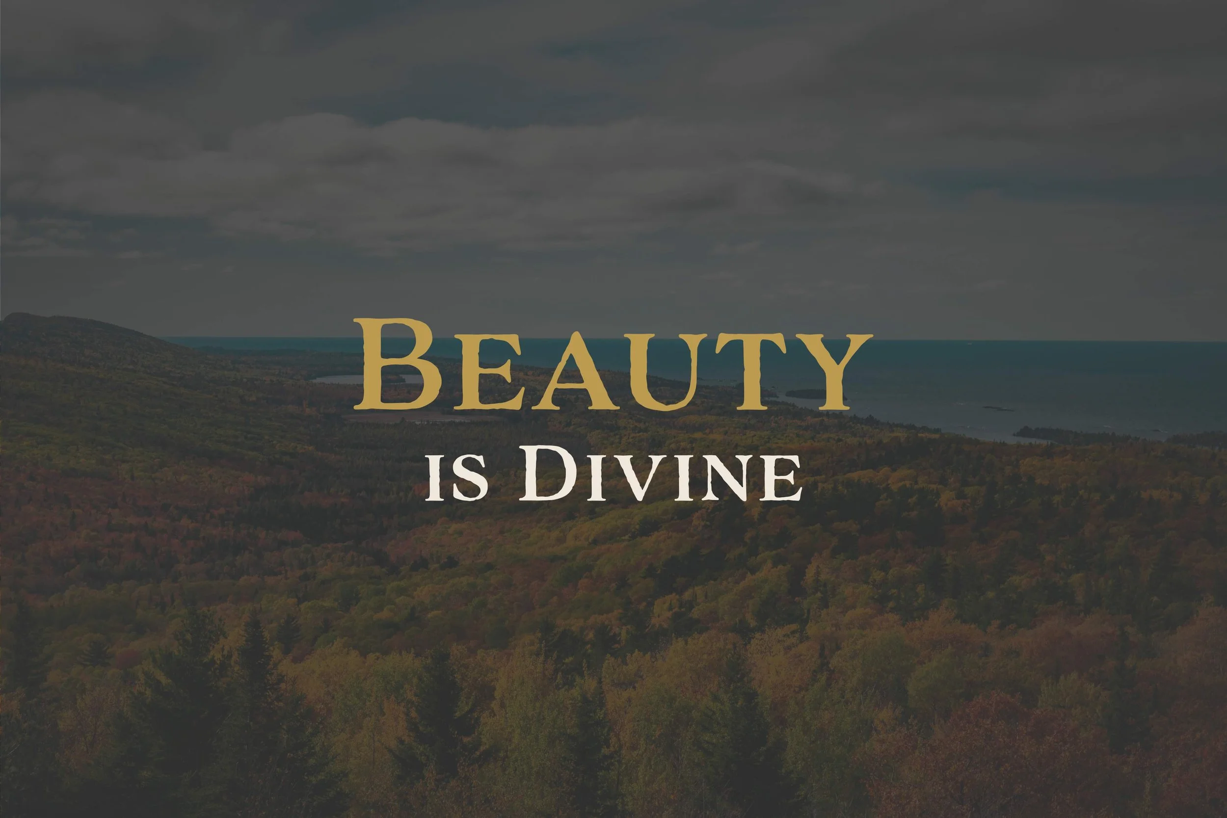 Beauty is Divine
