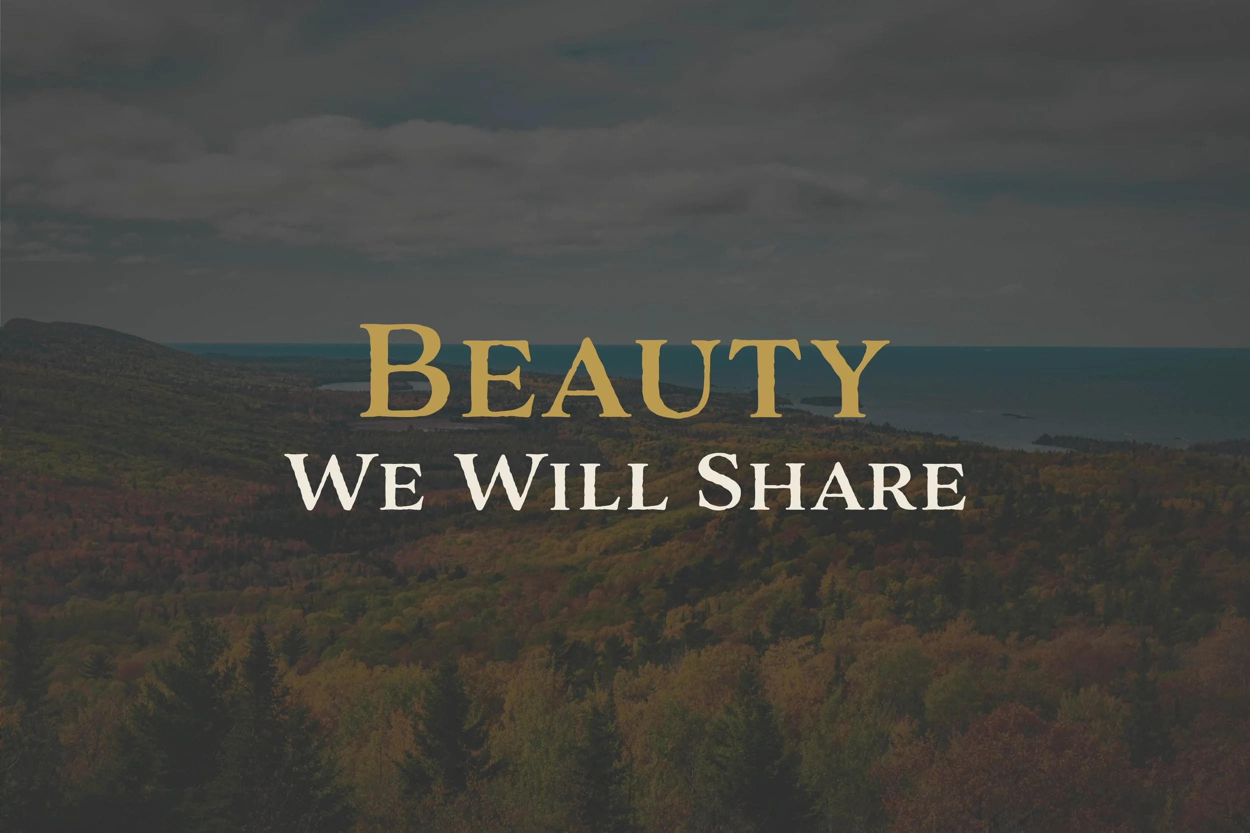 Beauty We Will Share