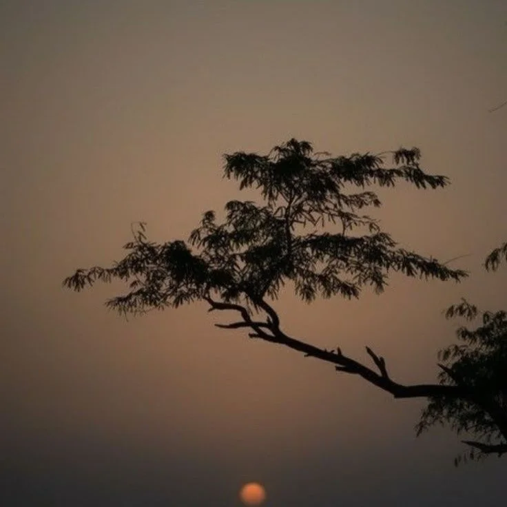 #SundayVibes ..
On #PharcydeTV
Today&rsquo;s theme &ldquo; all in a day &rdquo;

Catch today&rsquo;s stream on PharcydeTV.com as always. 
You can also watch on @twitch , @mixcloud , @kick and pharcydetv.com

@loftradioworldwide / 1-2pm.
@truthseekers