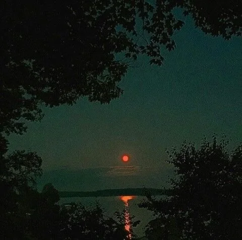 #SundayVibes ..
On #PharcydeTV
Today&rsquo;s theme &ldquo; give them air&rdquo;

Catch today&rsquo;s stream on PharcydeTV.com as always.
You can also watch on @twitch , @mixcloud , @kick and pharcydetv.com

@loftradioworldwide / 1-2pm.
@truthseekersr