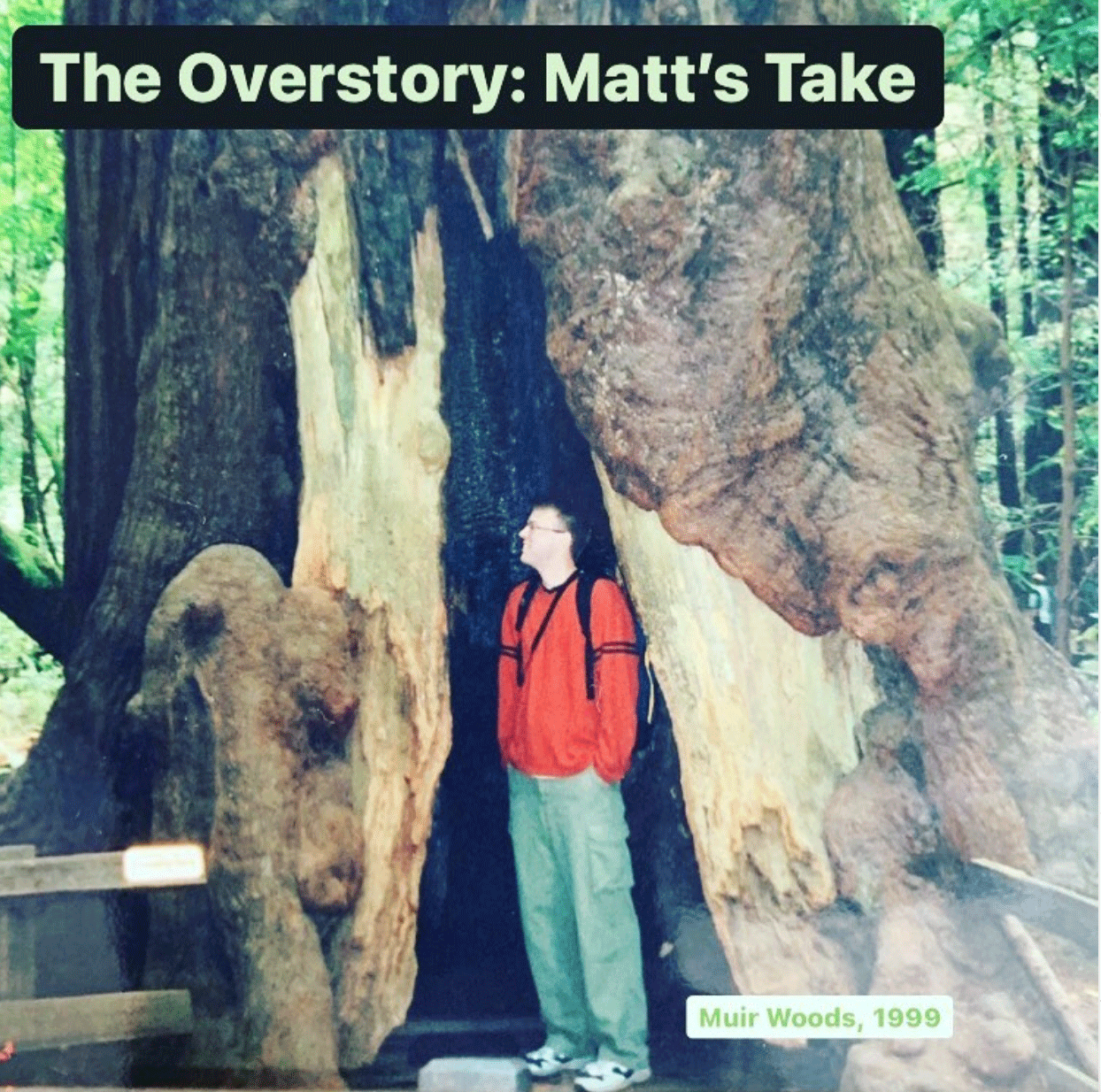 RAWTS: Matt’s Take on The Overstory