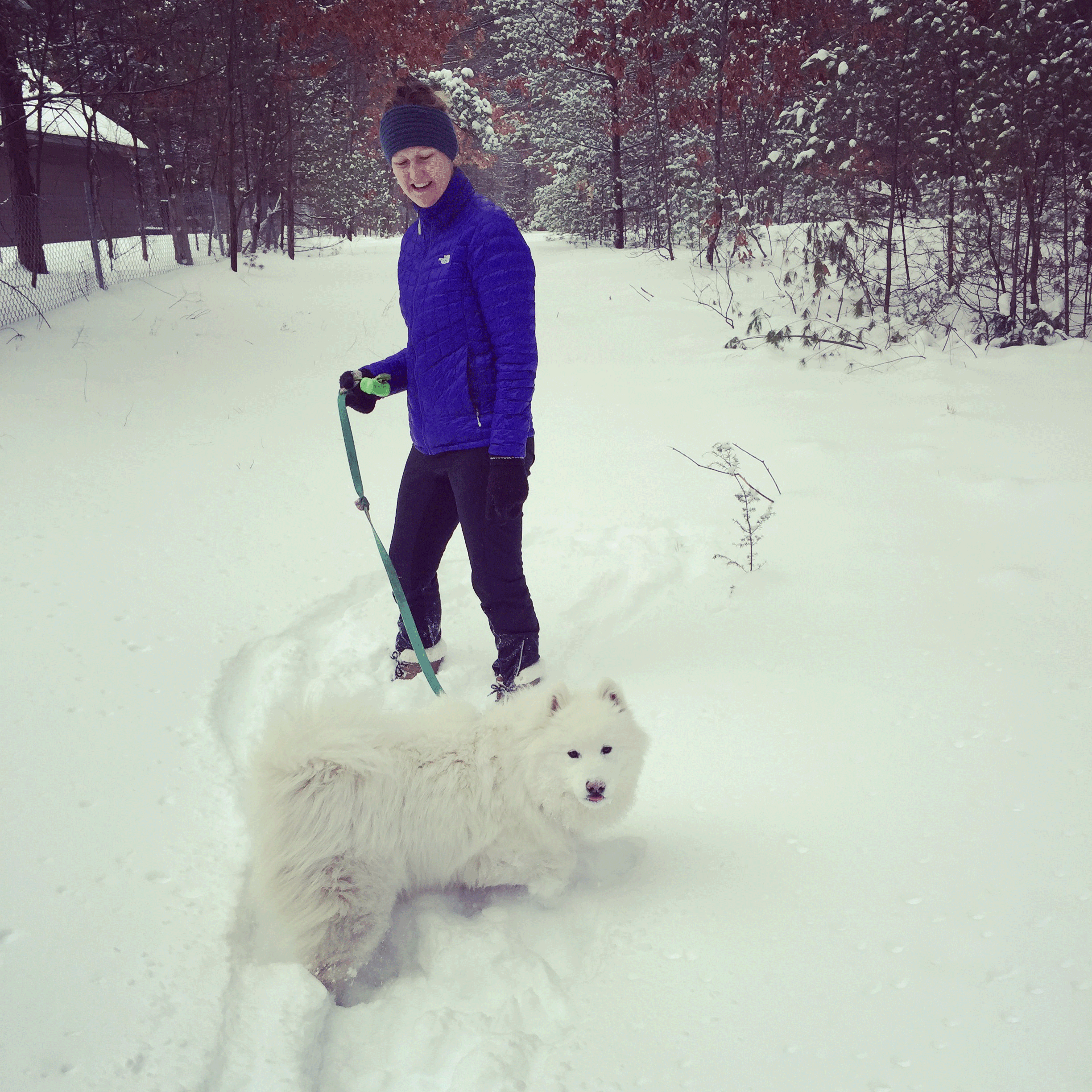 Snow-Bound: A Winter Idyl