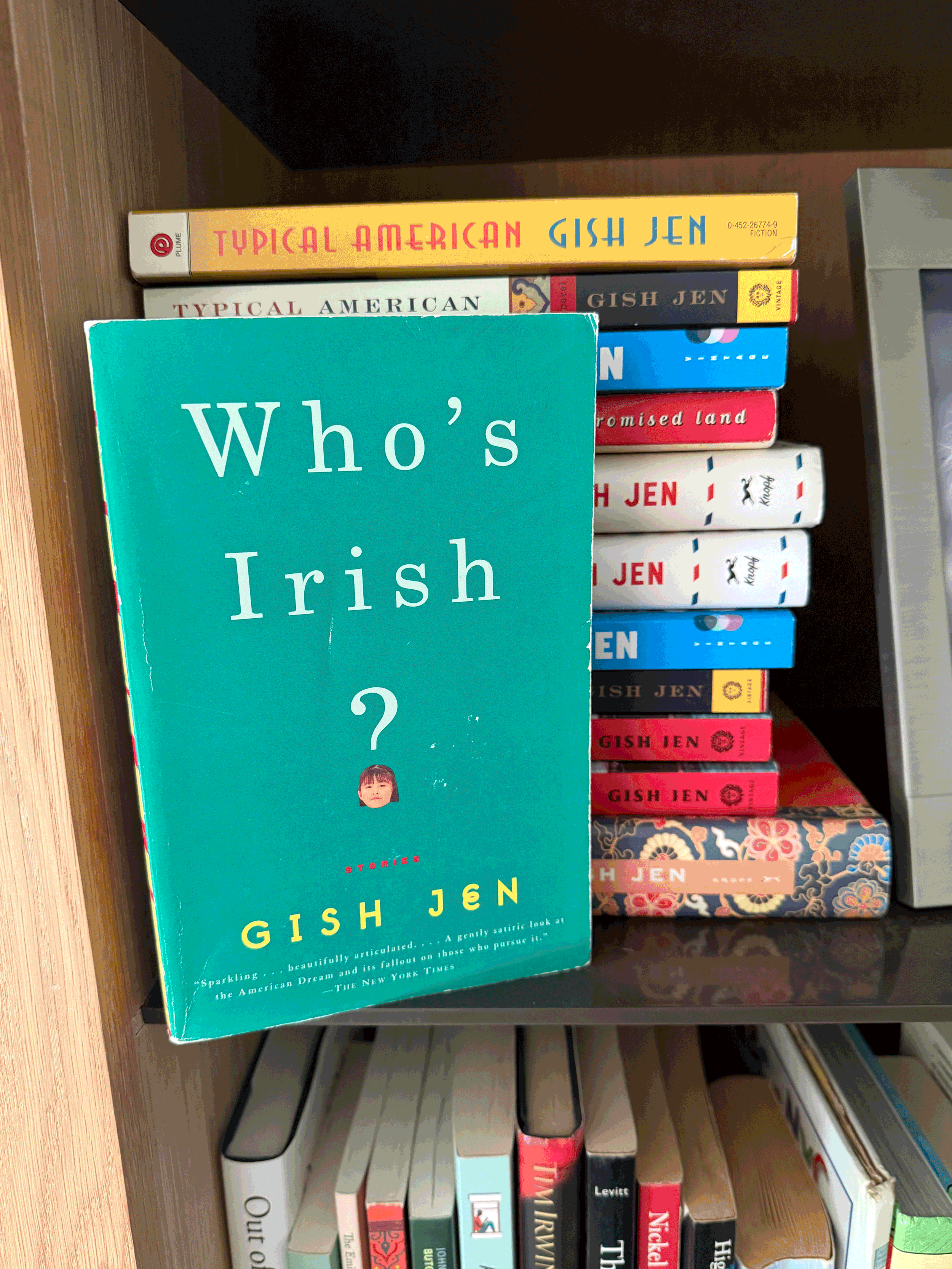 Birthday Book Recs 42/50 : Who’s Irish? by Gish Jen