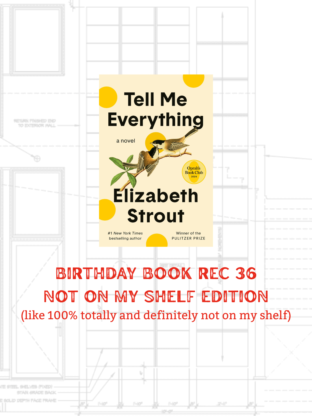 Birthday Book Recs 36/50 : Tell Me Everything by Elizabeth Strout