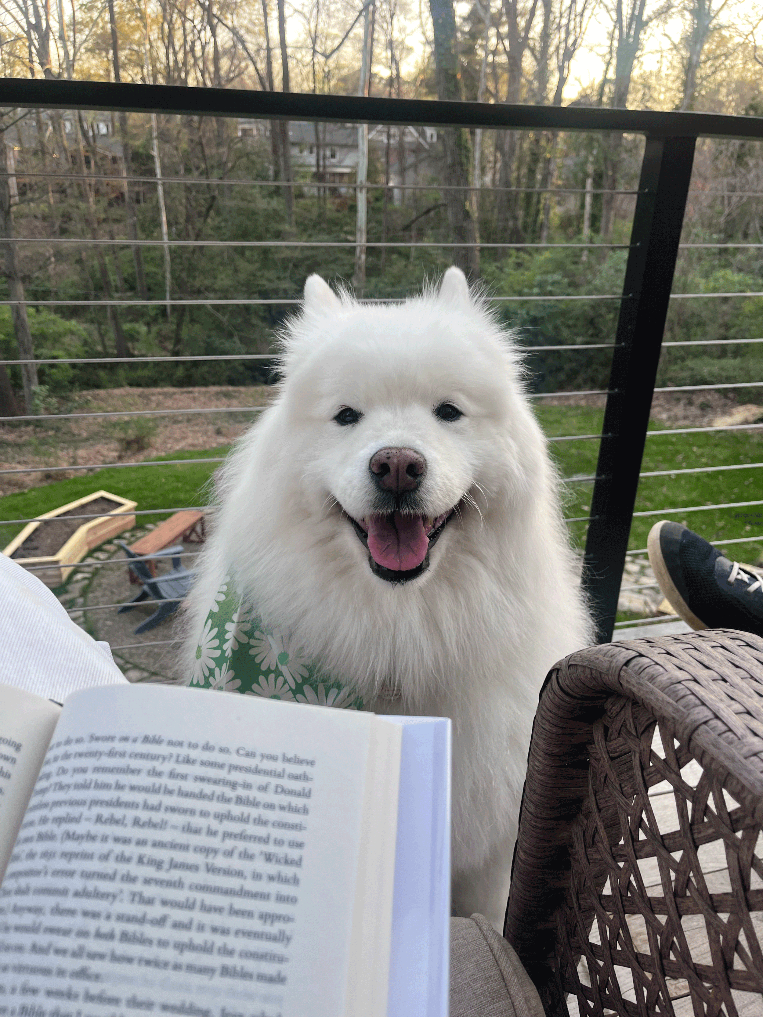 Reading = Humanly Possible