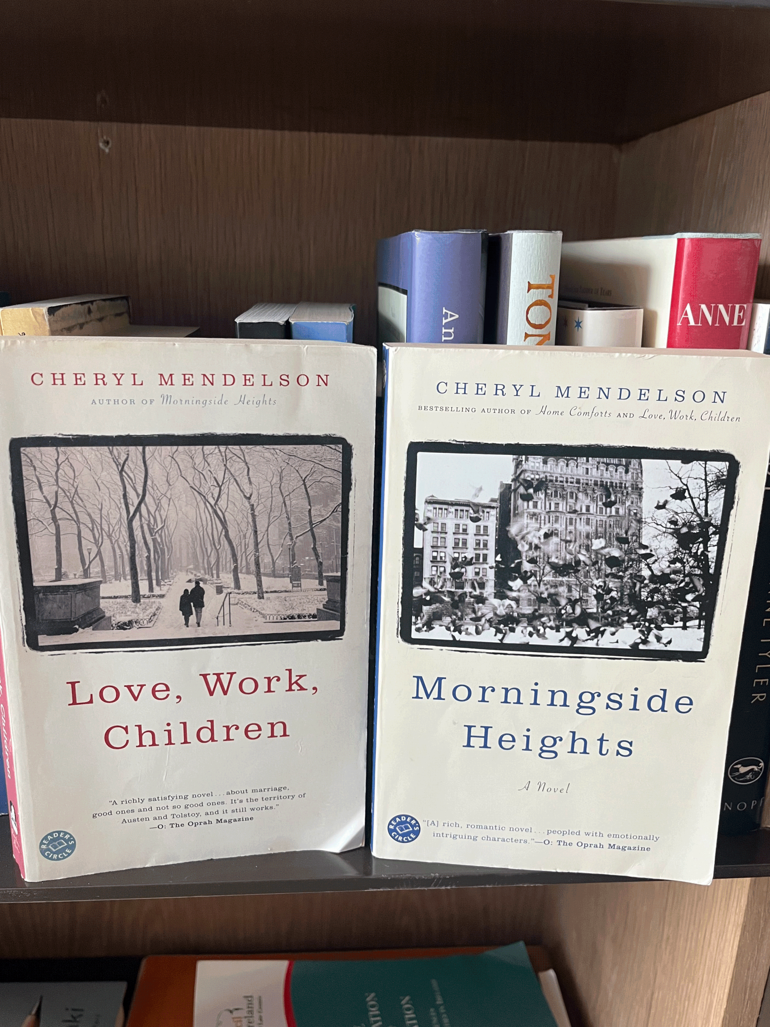 Birthday Book Recs 20-21/50 : Love, Work, Children and Morningside Heights by Cheryl Mendelson