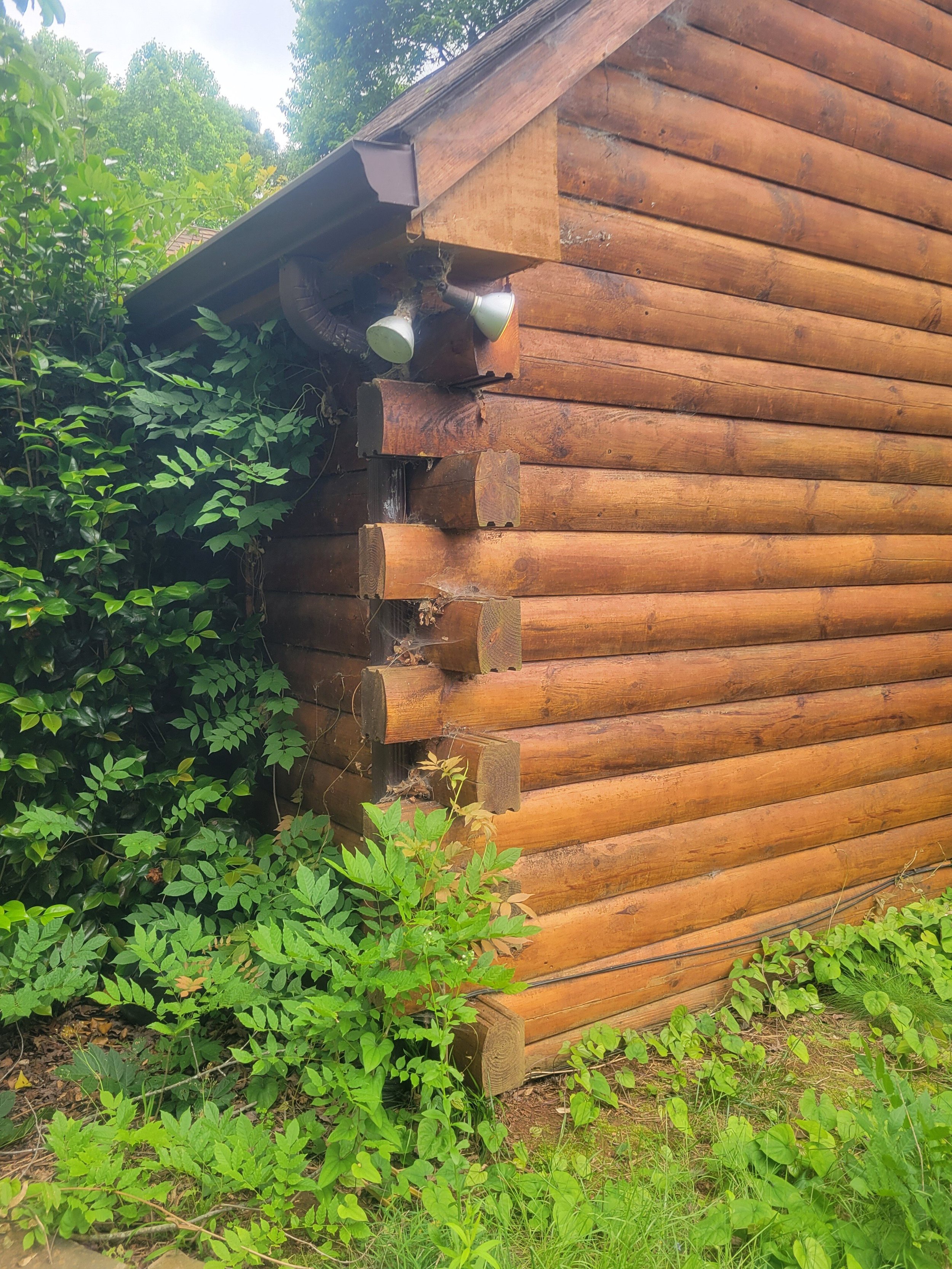 Vegetation should be 24" or greater in distance from a log home to mitigate damage from moisture and pests.
