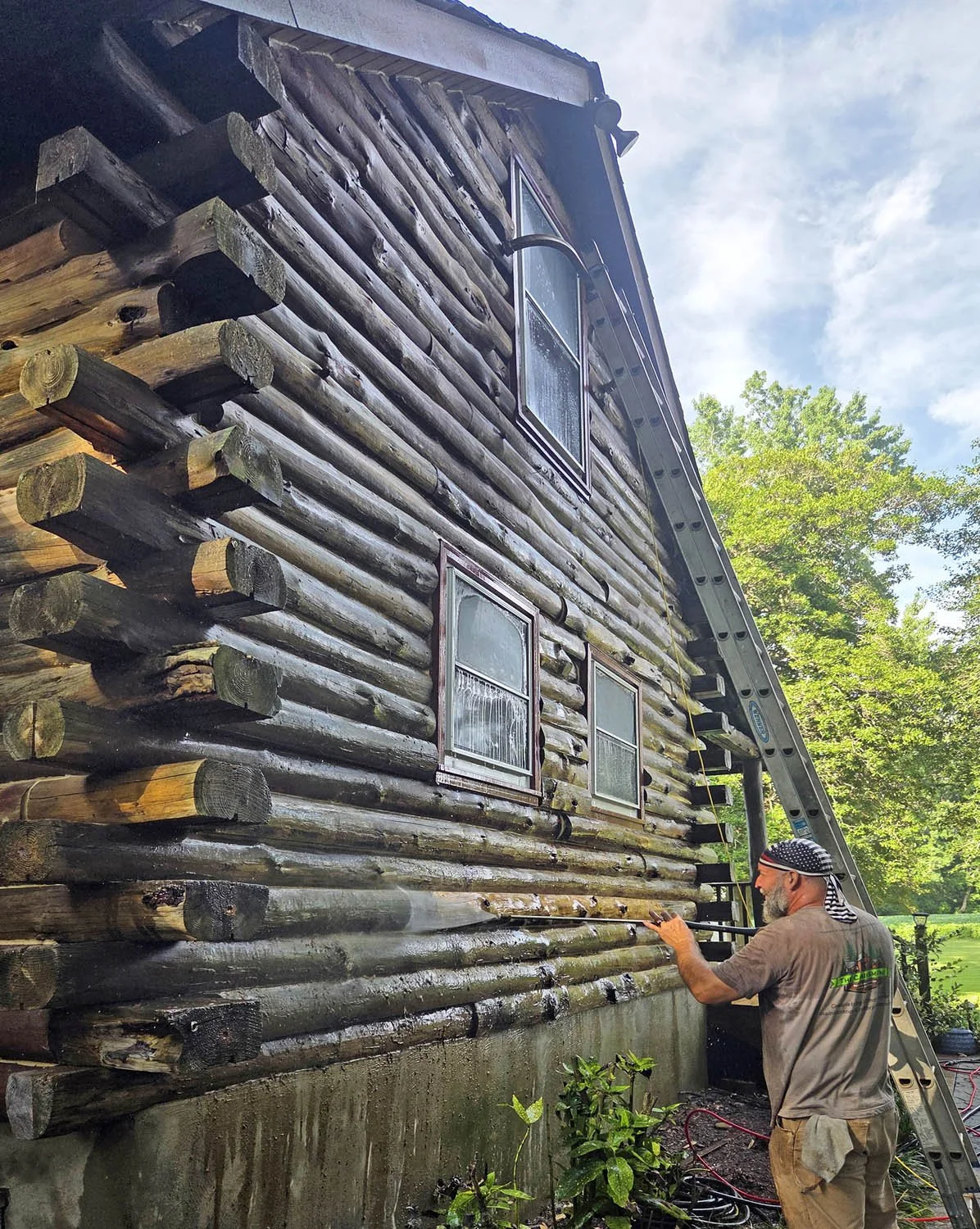 Applied borates and two coats of stain.