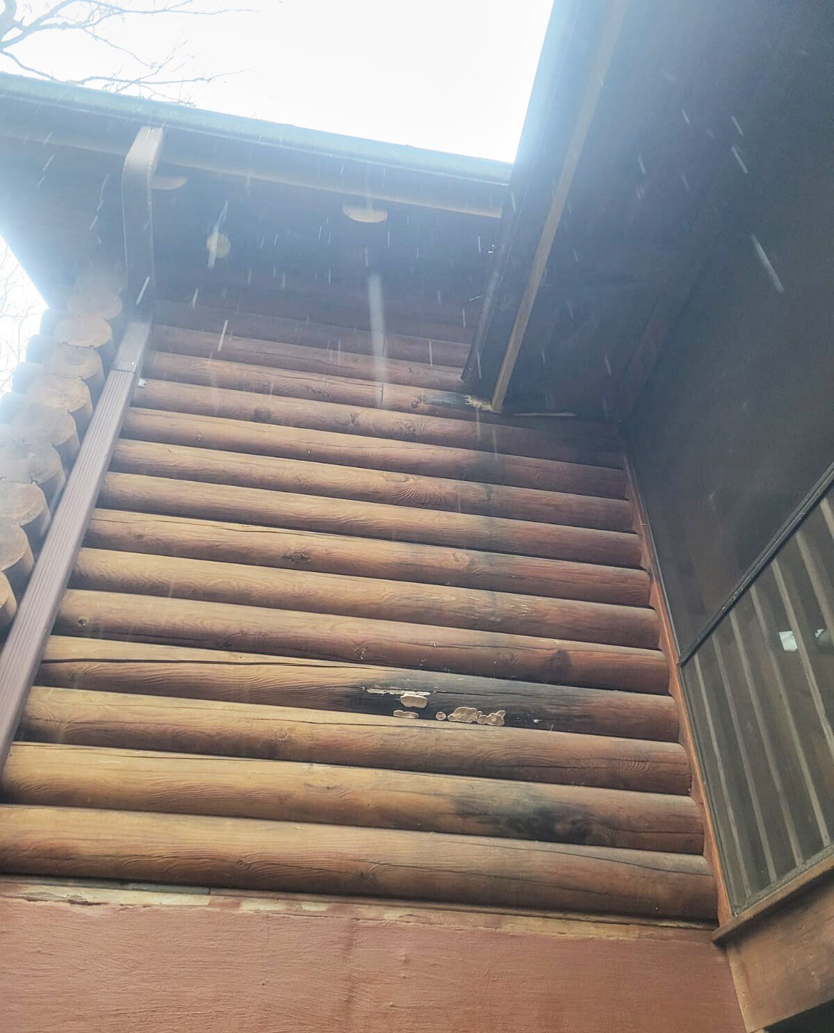 Gutter failure can lead to log rot.
