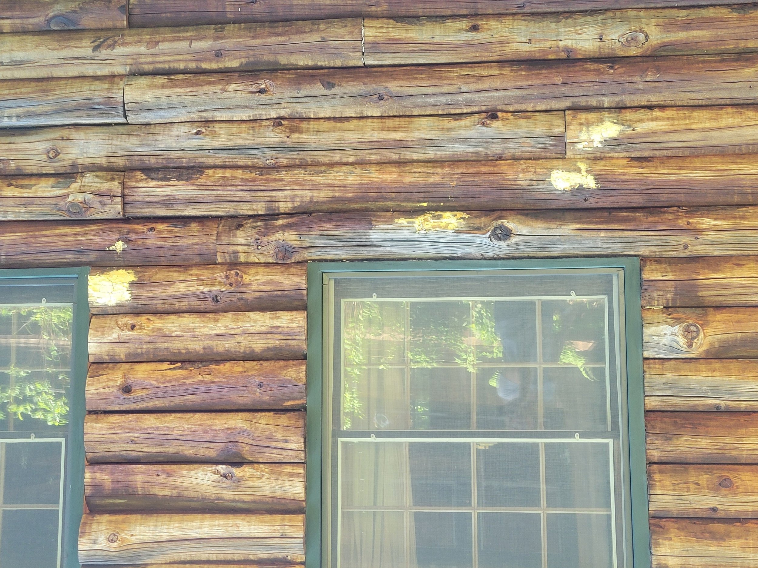 Years and years of neglect left this lovely cabin with no protection.