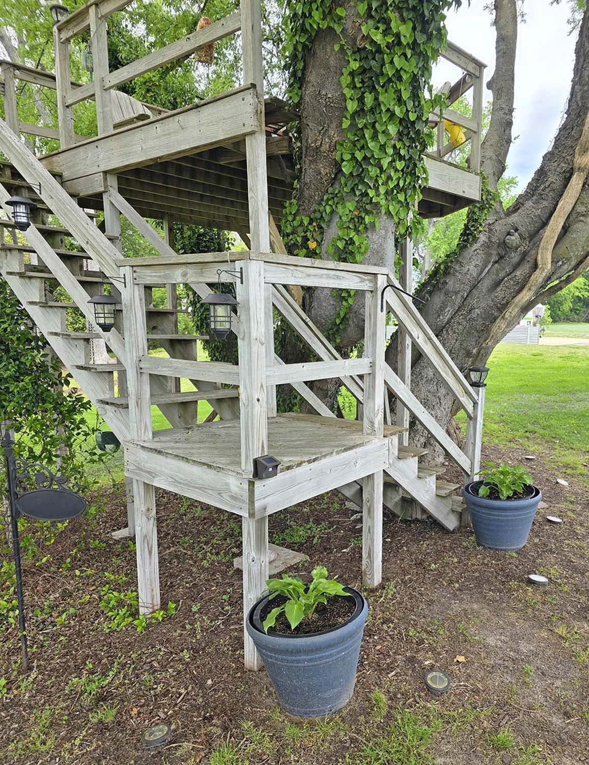 The owners also have a quaint "treehouse" they had built so many years ago that the tree was growing into the stairs and blocking off access.