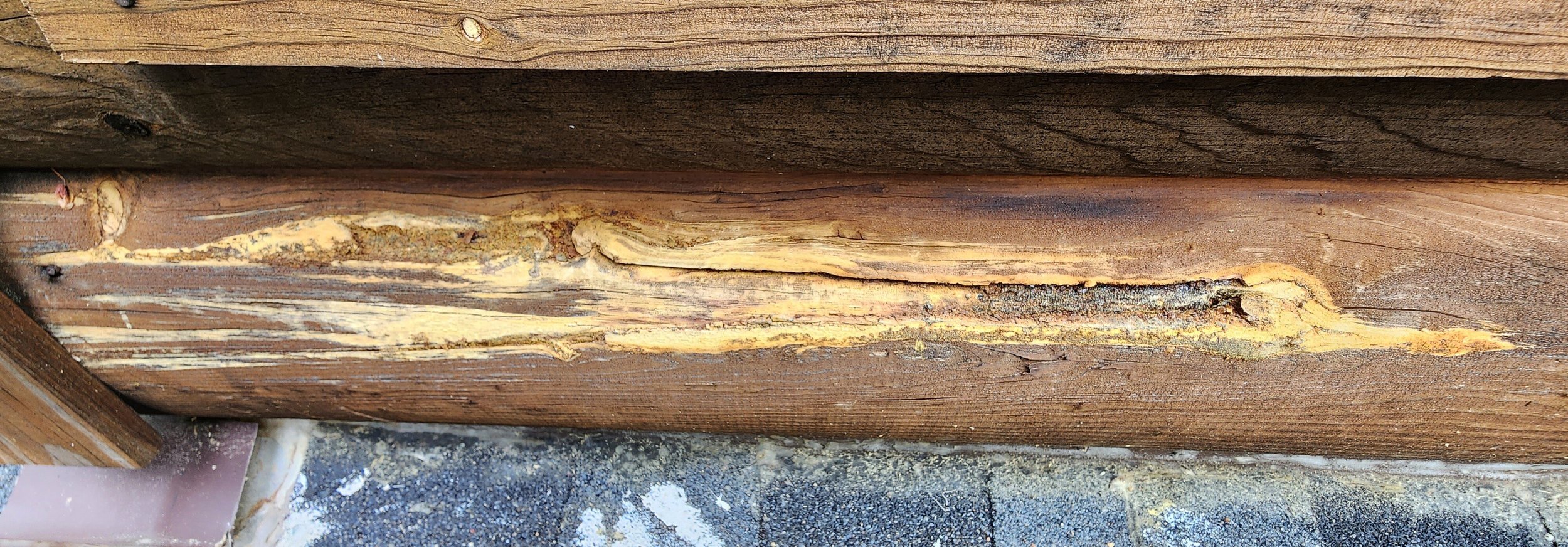 Three areas of log rot, and we patched it all up.