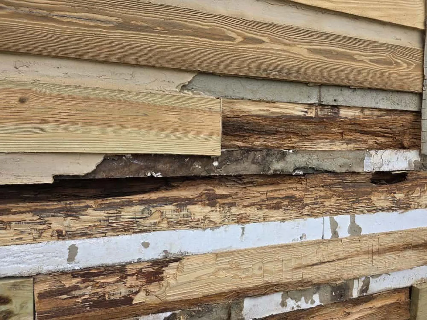 Don't paint your log house, folks.