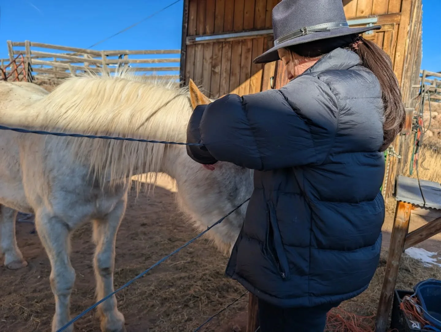 Slow living 🌞 preparing for 2026

#janeofalltrades #TravelColorado