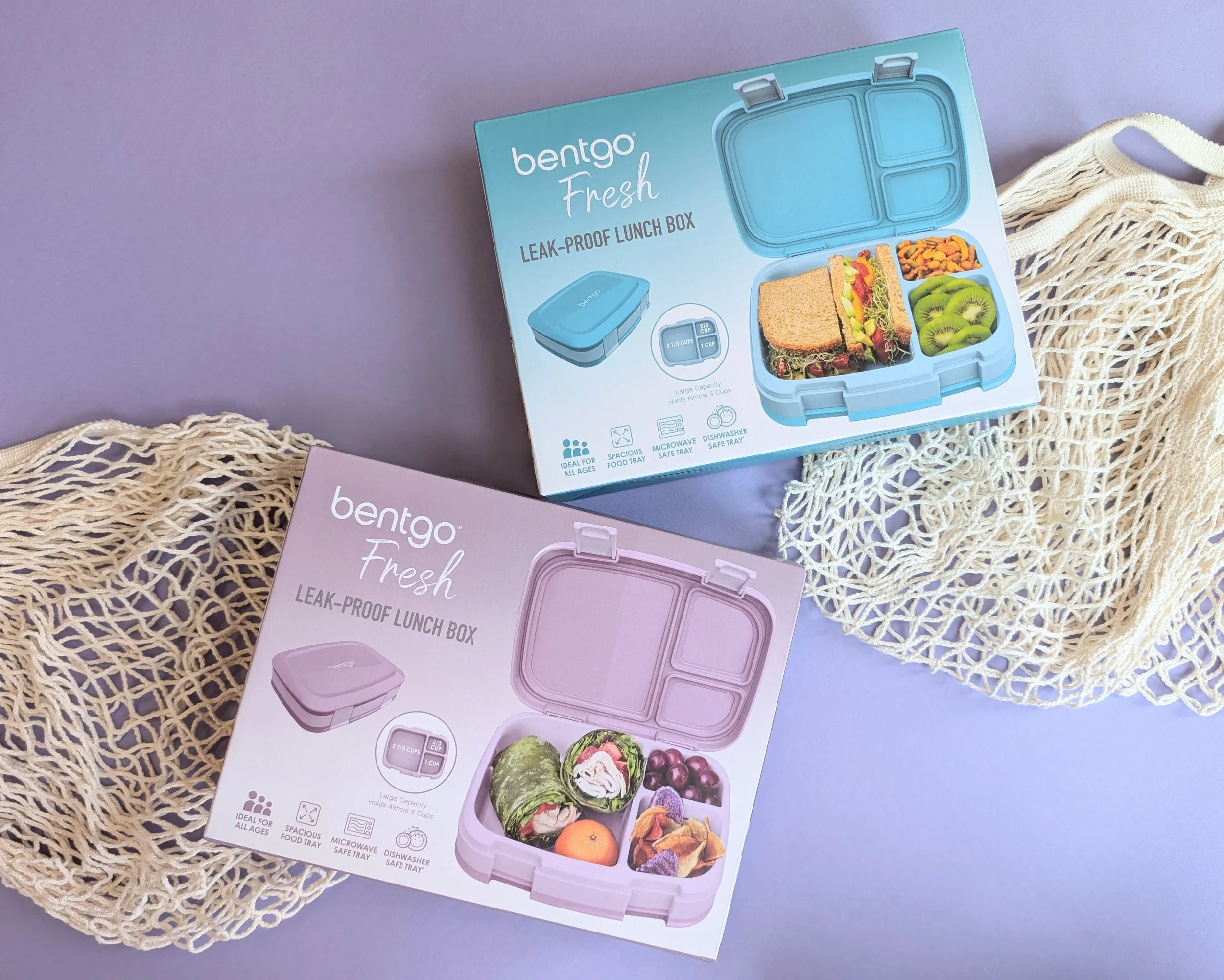 mundo-colorado-office-collection-bentgo-lunchbox-featured-purple-blue.jpg