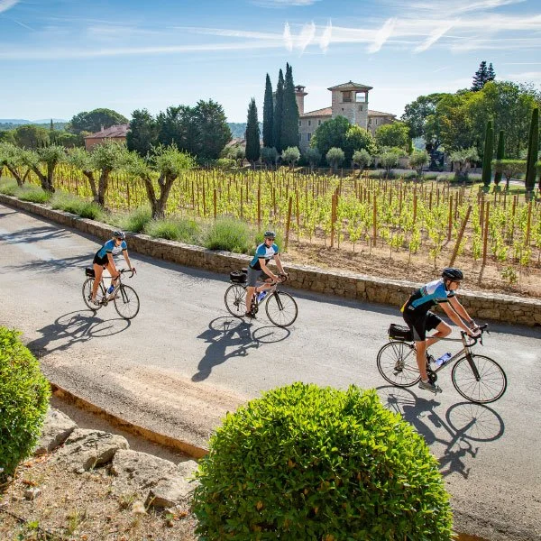 Cyclists riding bicycles on a road next to a vineyard with a building and trees in the background.