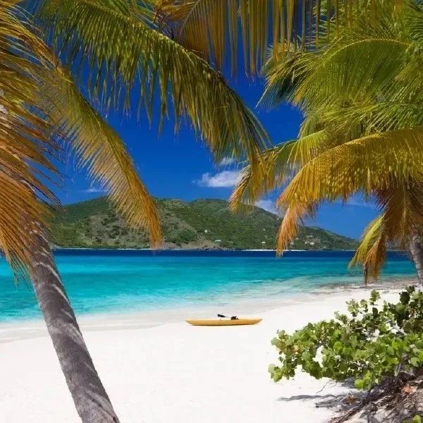 Tropical beach scene with white sand, palm trees, clear blue ocean, and a yellow kayak.