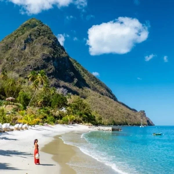 Tropical beach with mountain, palm trees, and a person on the shore.