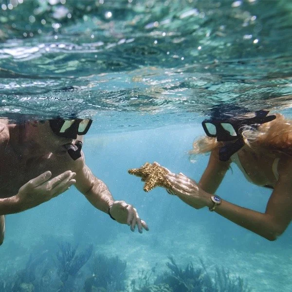 Two snorkelers, a man and a woman, are underwater in clear blue water. Both are wearing black snorkel masks and are facing each other. The woman is holding a yellow starfish, showing it to the man, while sunlight filters through the water above them.