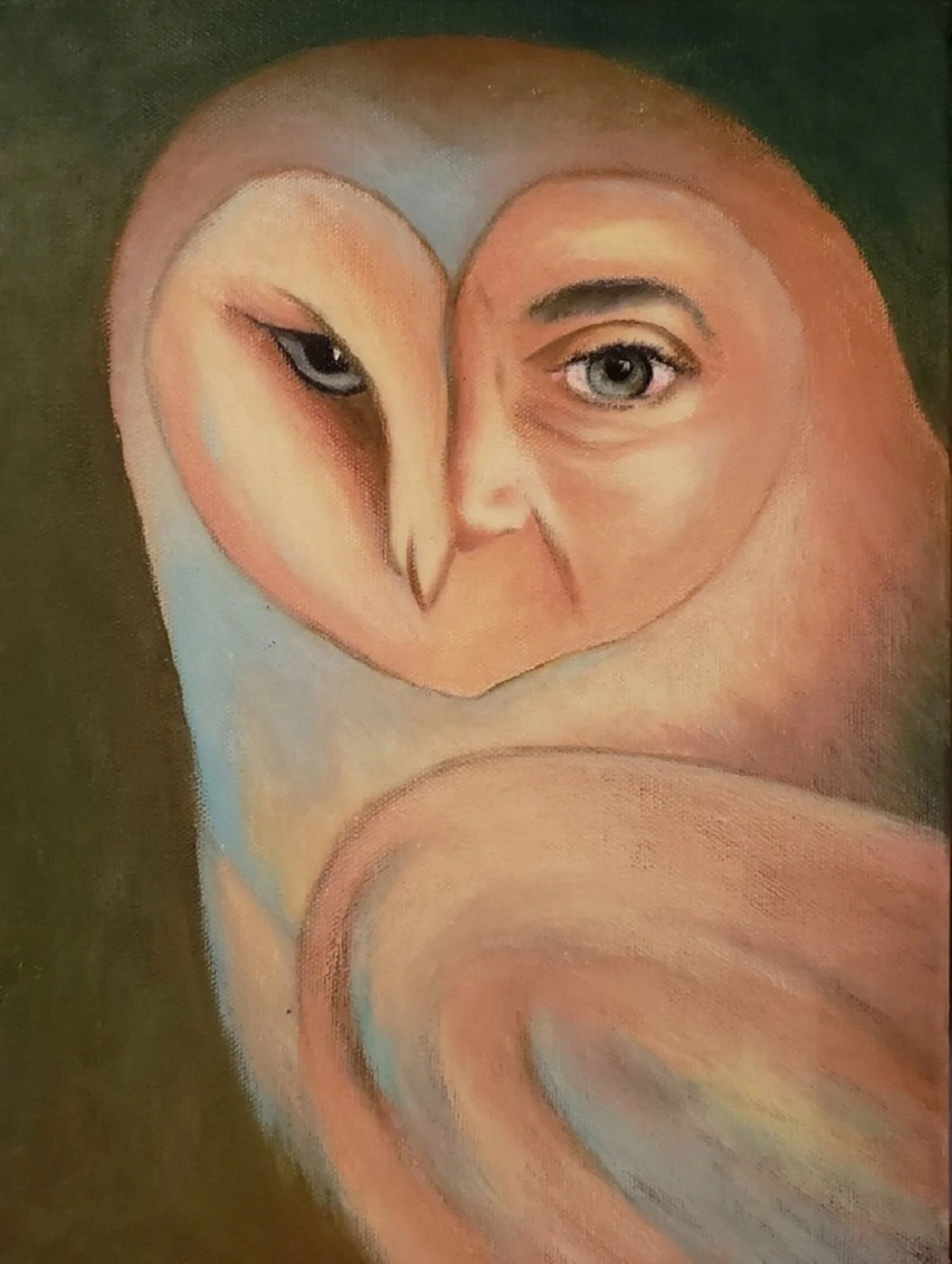 Self Portrait as Barn Owl 9x12.jpg