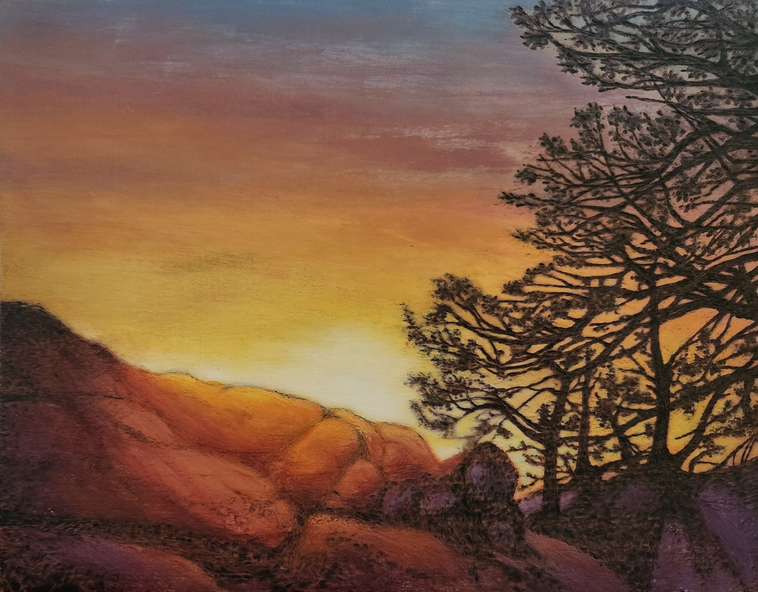 Backyard Sunrise,
14"x11.25"
(To be framed @ 17"x14")
$300.00