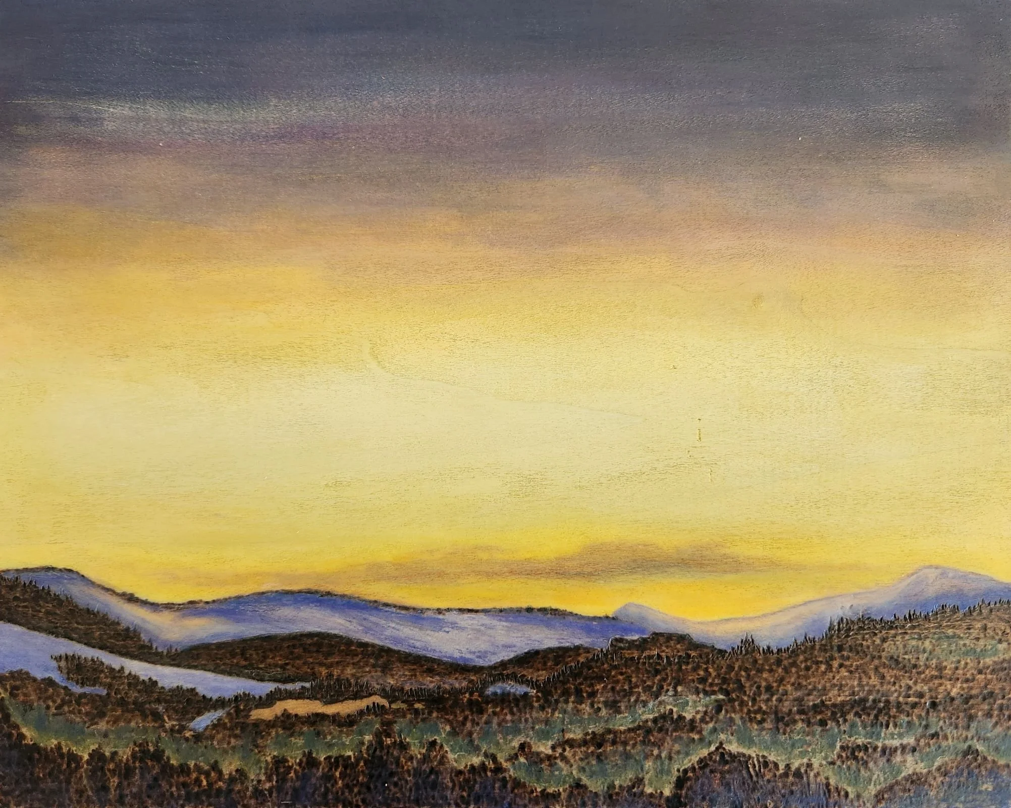 Spring Awakening,
14"x11.25"
(To be framed @ 17"x14")
$300.00