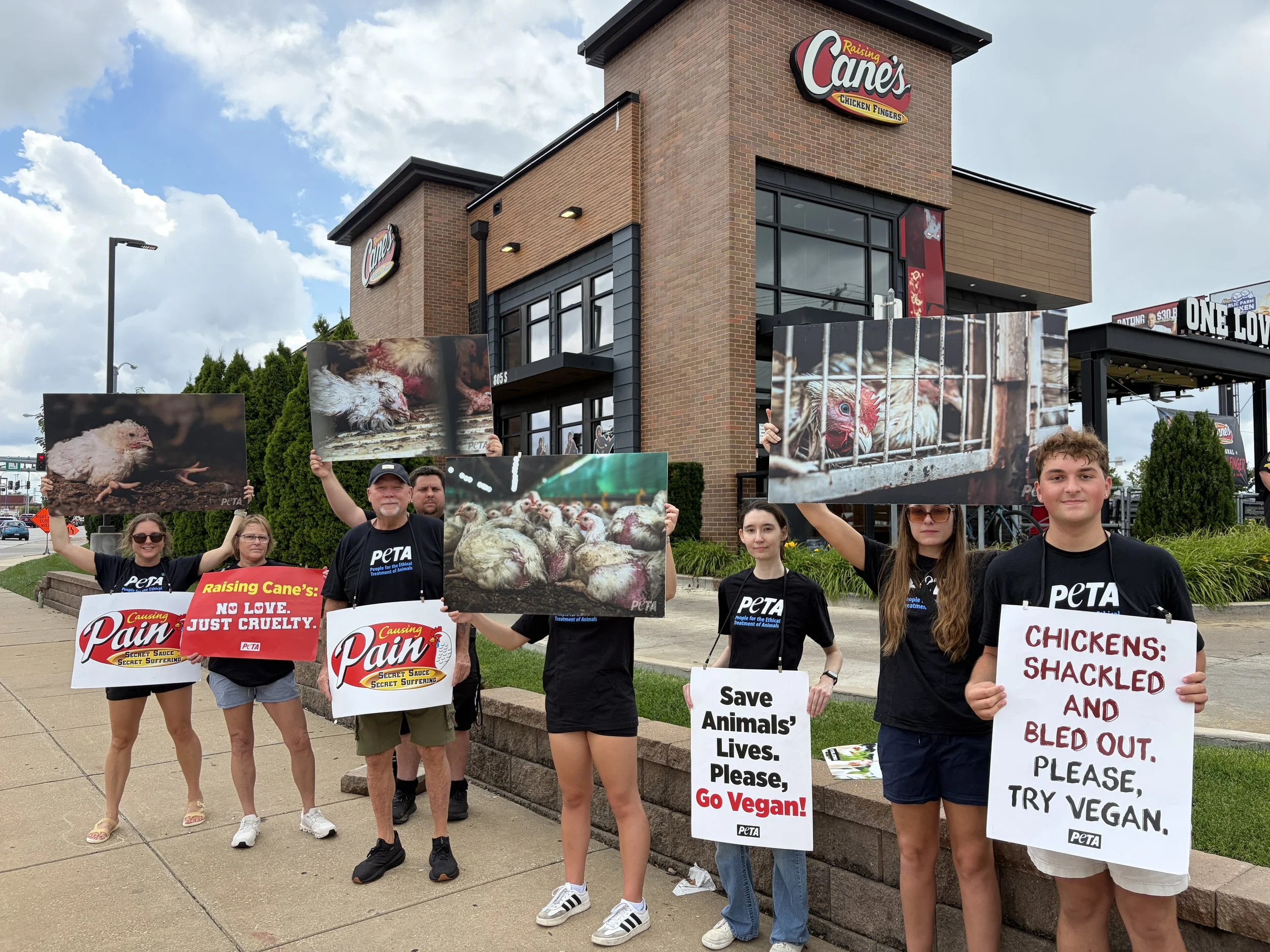 Animal rights activists in St. Louis hold up signs protesting Raising Cane's