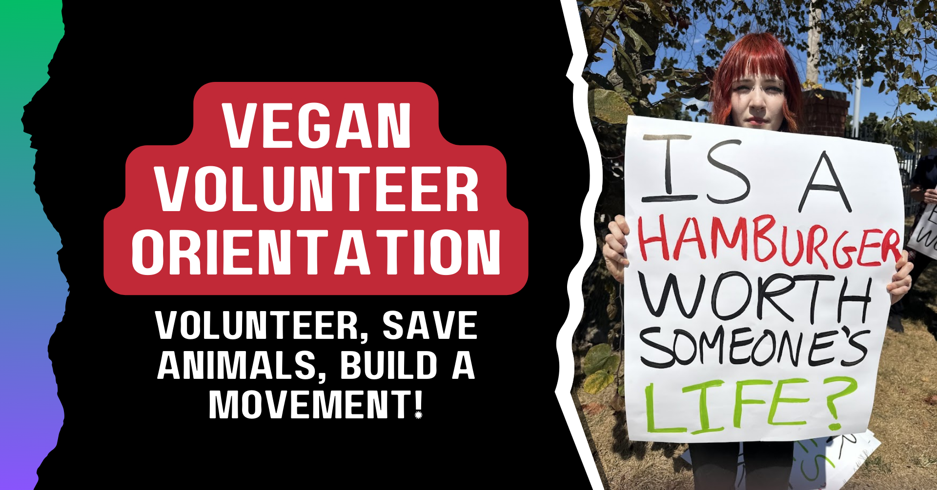 Vegan Volunteer Orientation