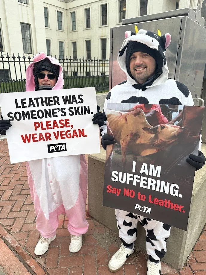 Two activists holding signs that say not to wear leather at our anti-fur and anti-leather demonstration in downtown St. Louis.jpg