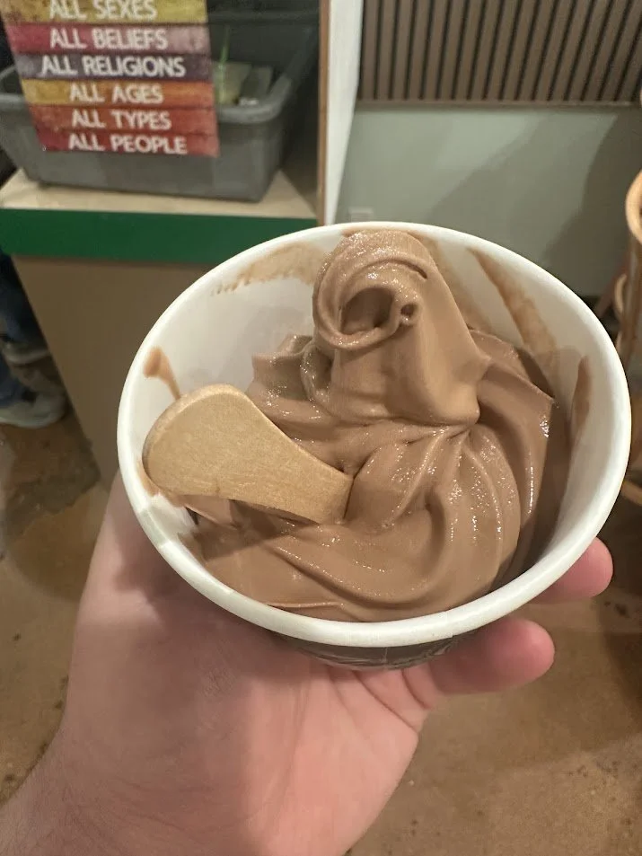 Chocolate soft-serve ice cream at our Vegan Volunteer Orientation at Bombay Food Junkies in Creve Coeur, Missouri.jpg