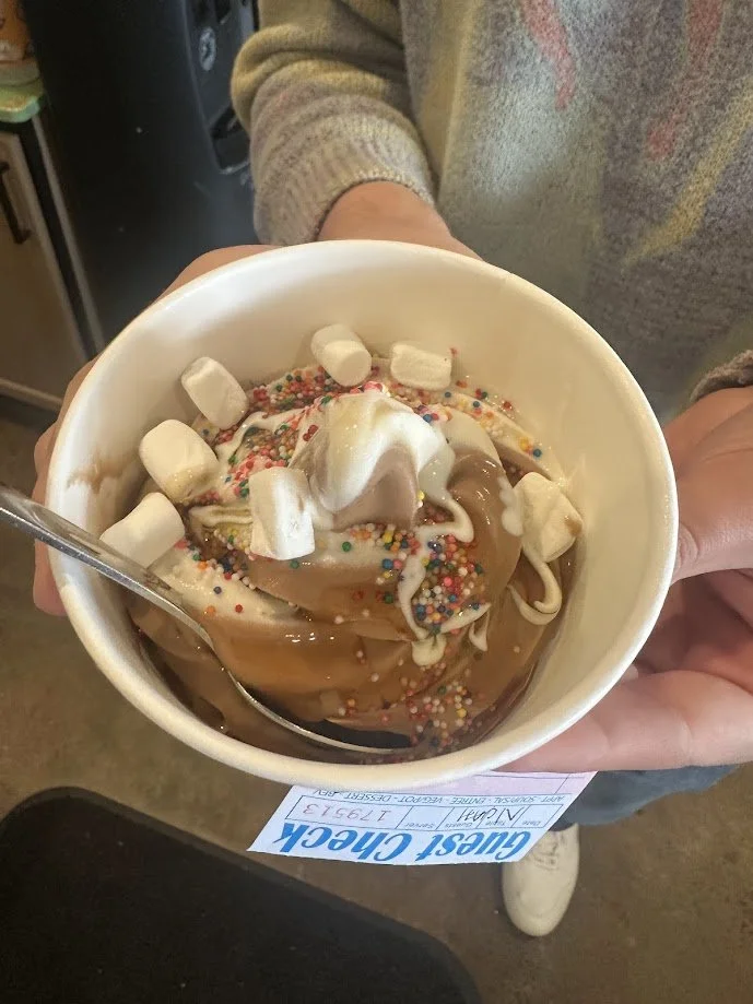 Nondairy froyo-style ice cream with vegan marshmallows at our Veganuary Vegan Ice Cream Social at Bombay Food Junkies in Creve Coeur, Missouri.jpg