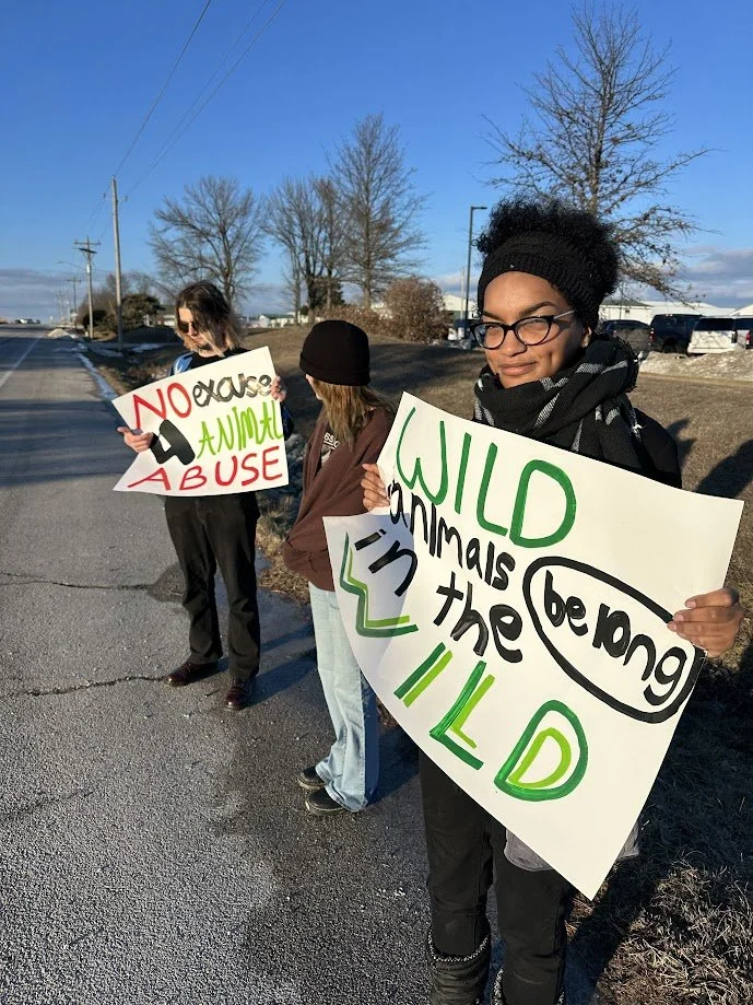 Mahdi holding a sign that says wild animals belong in the wild.jpg