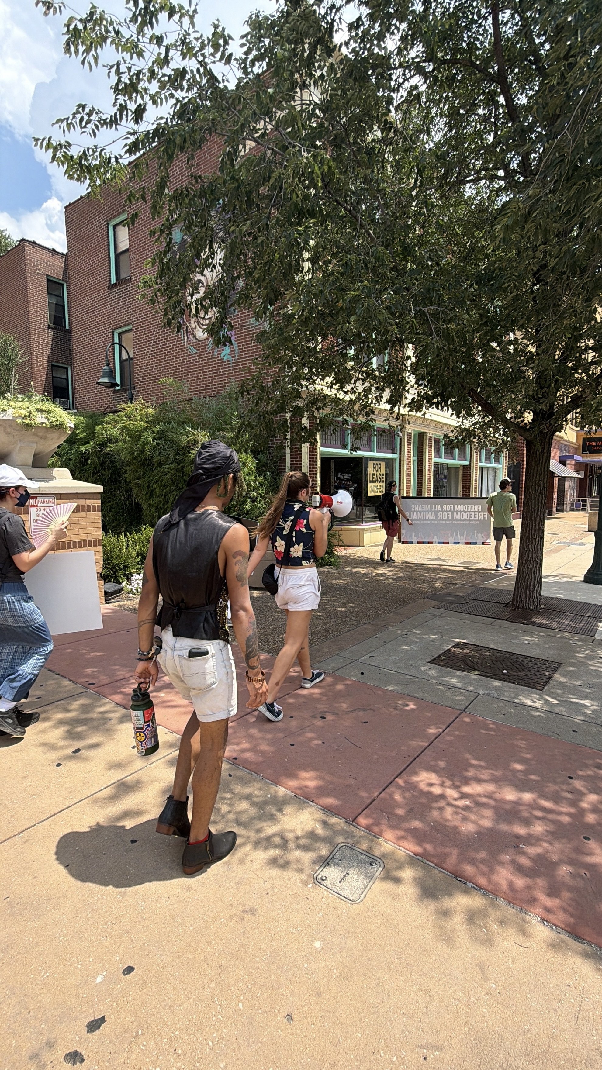 View from behind our Animal Freedom March along the Delmar Loop in St. Louis, Missouri