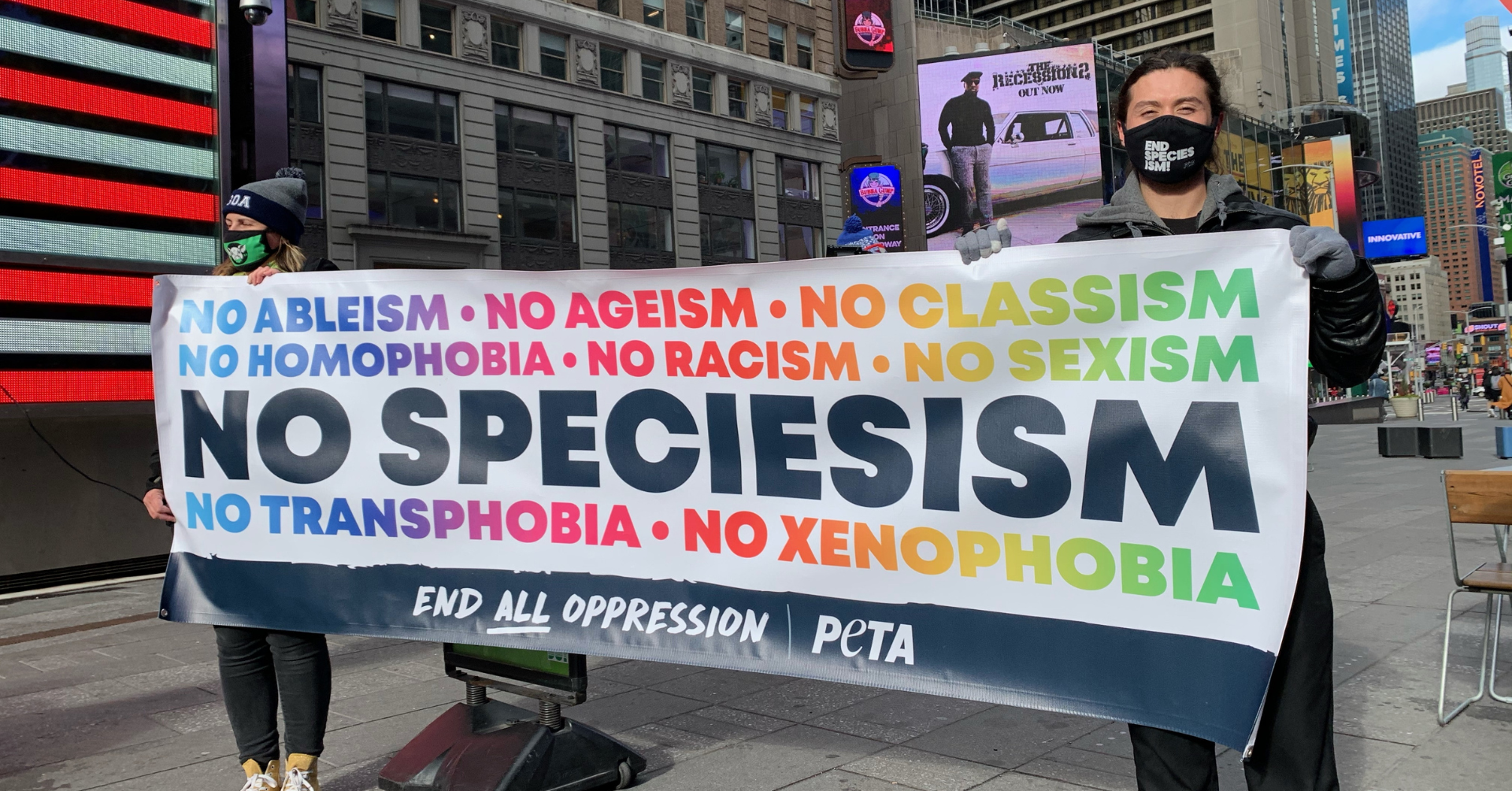 Vegan Banner Drop!