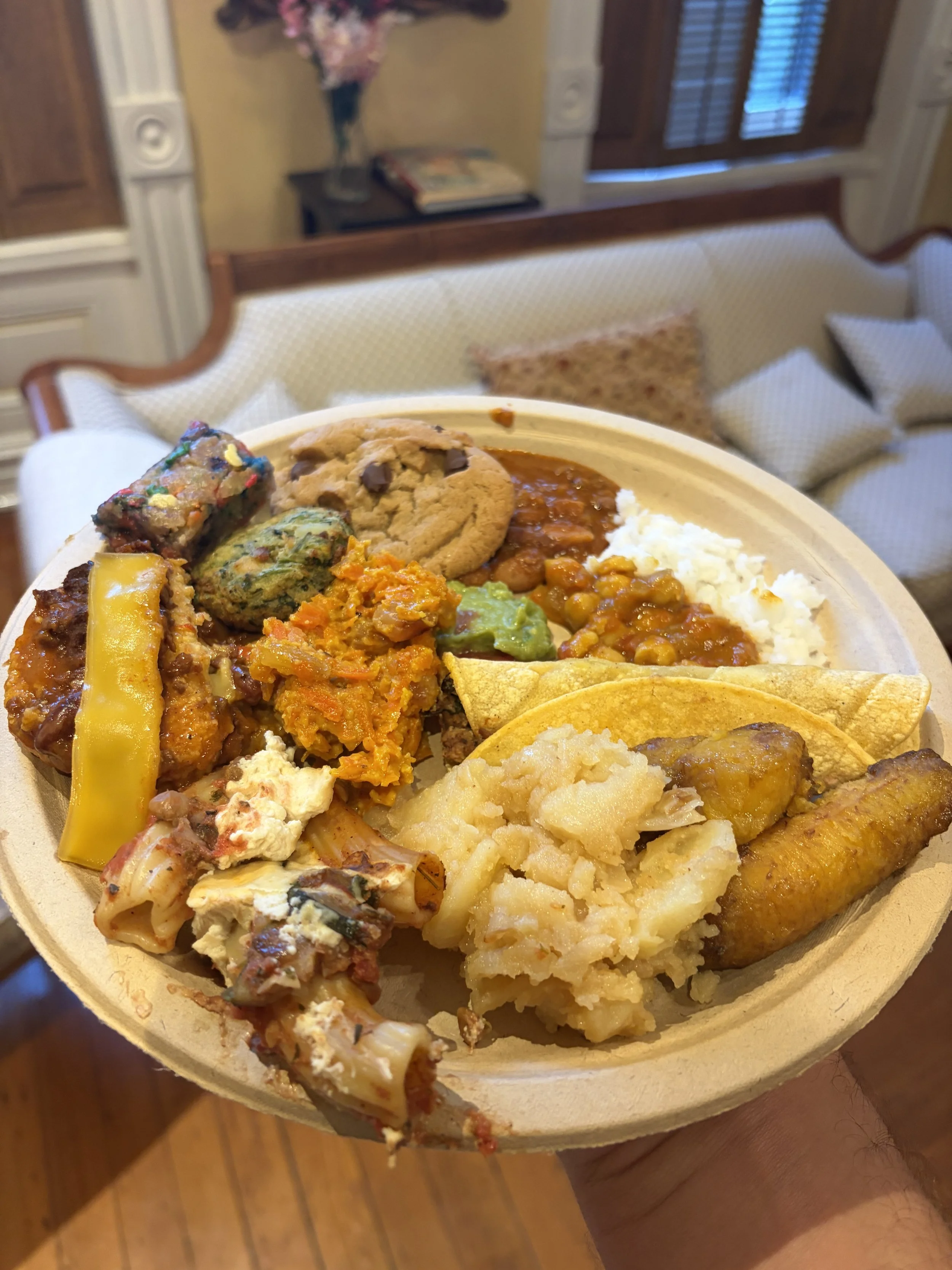 Smorgasbord of homemade, plant-based vegan food at Plant Lovers Potluck in St. Louis, Missouri.png