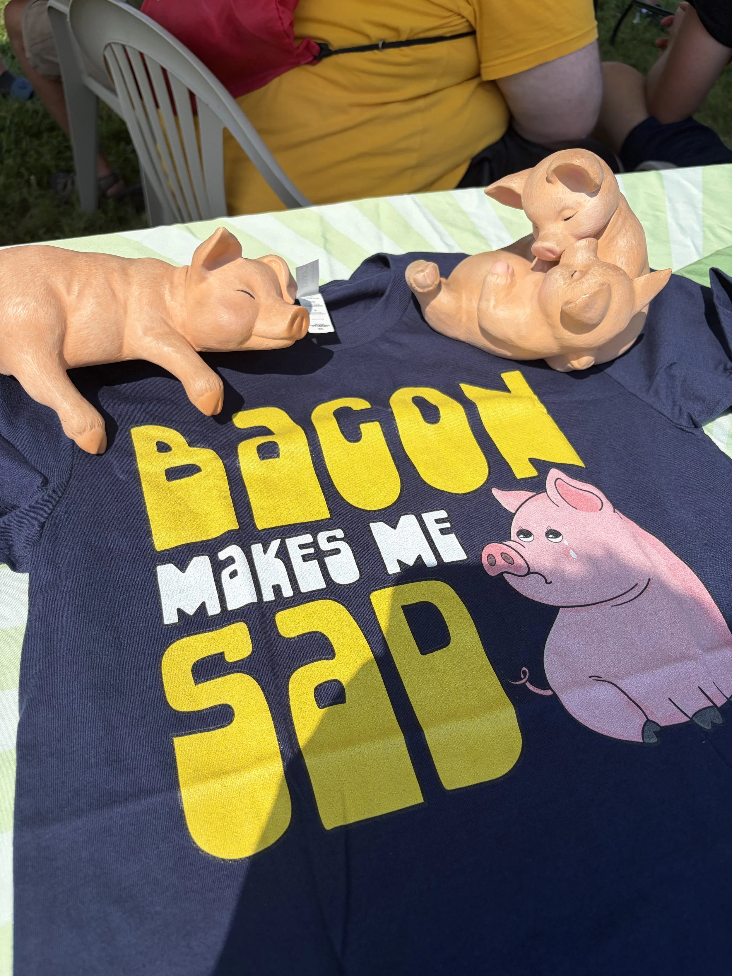 Bacon Makes Me Sad shirt covered with pig decor at Project Animal Freedom_s info booth at STL Vegan Market in St. Louis, Missouri.png