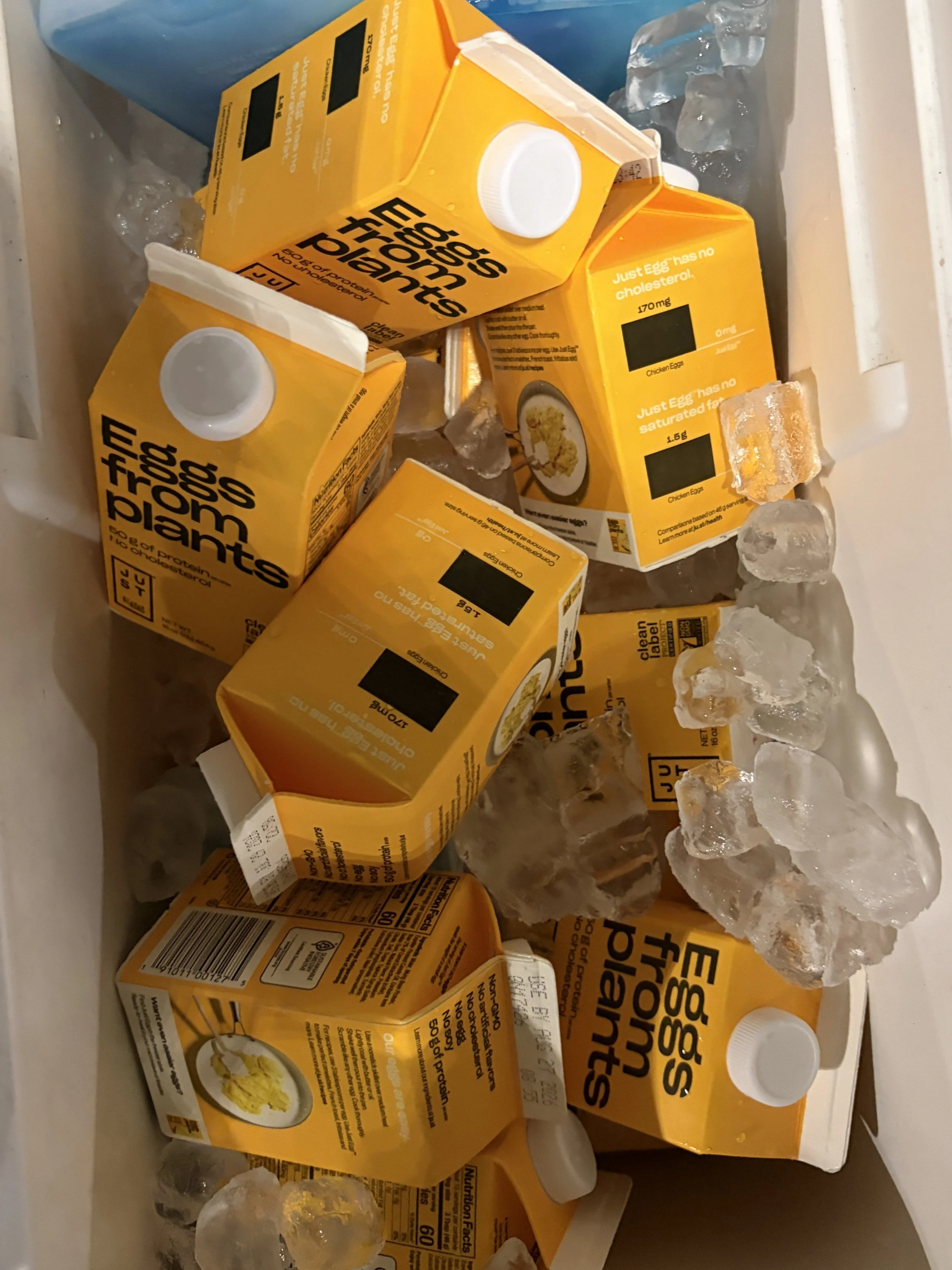 Cartons of Just Egg in cooler for Egg-spose at Whole Foods in St. Louis, Missouri.png