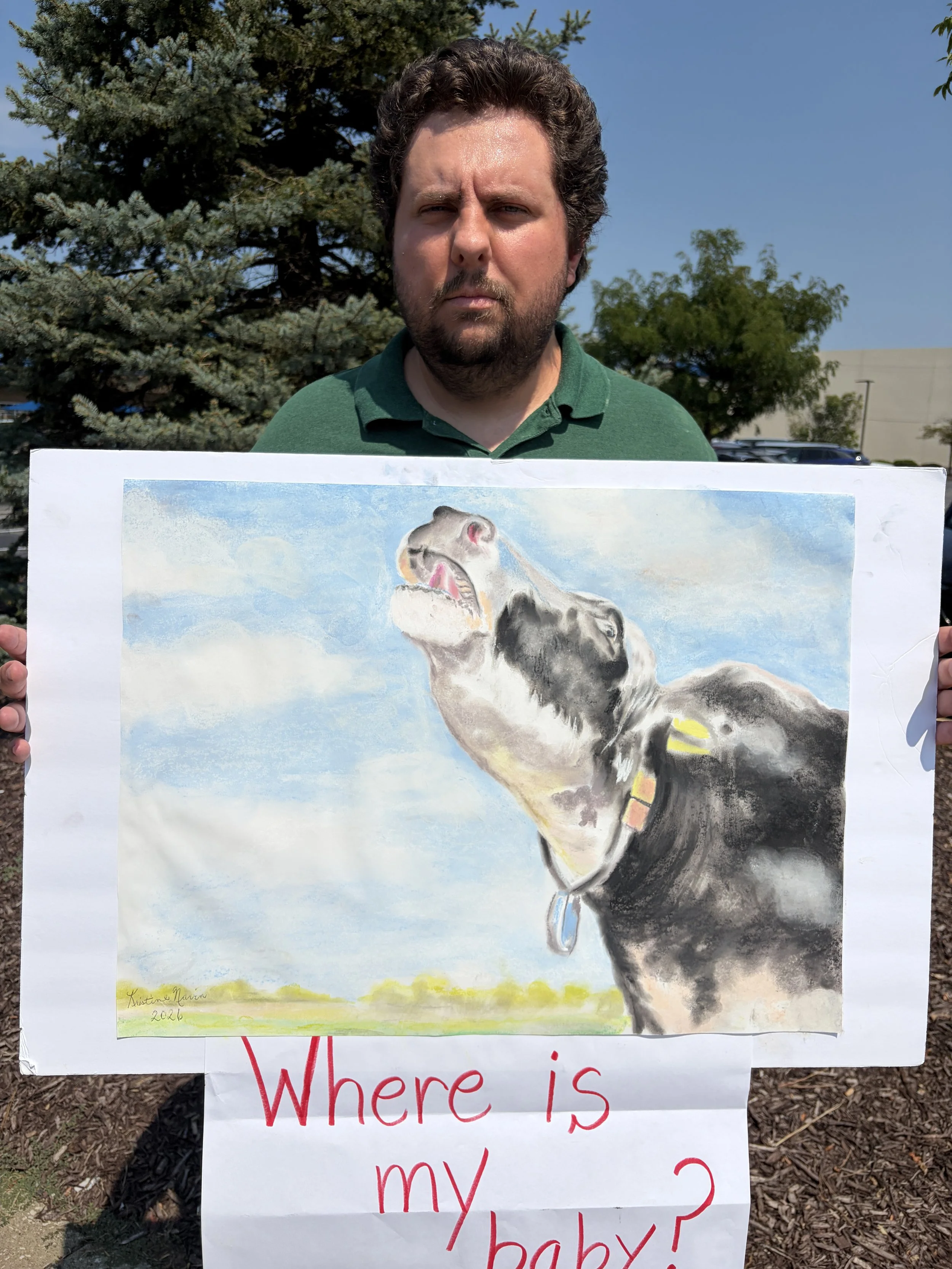 Kyle holds artwork of a mother cow calling out for her baby at Dairy Is Scary Protest in St. Louis, Missouri.png