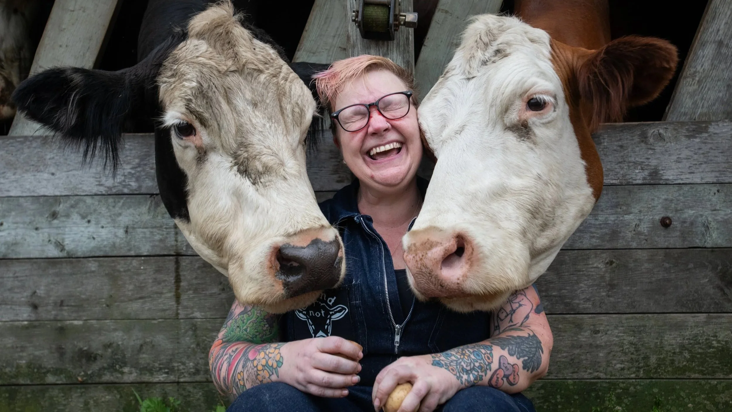 Vegan animal rights activist hugging cows at an animal sanctuary