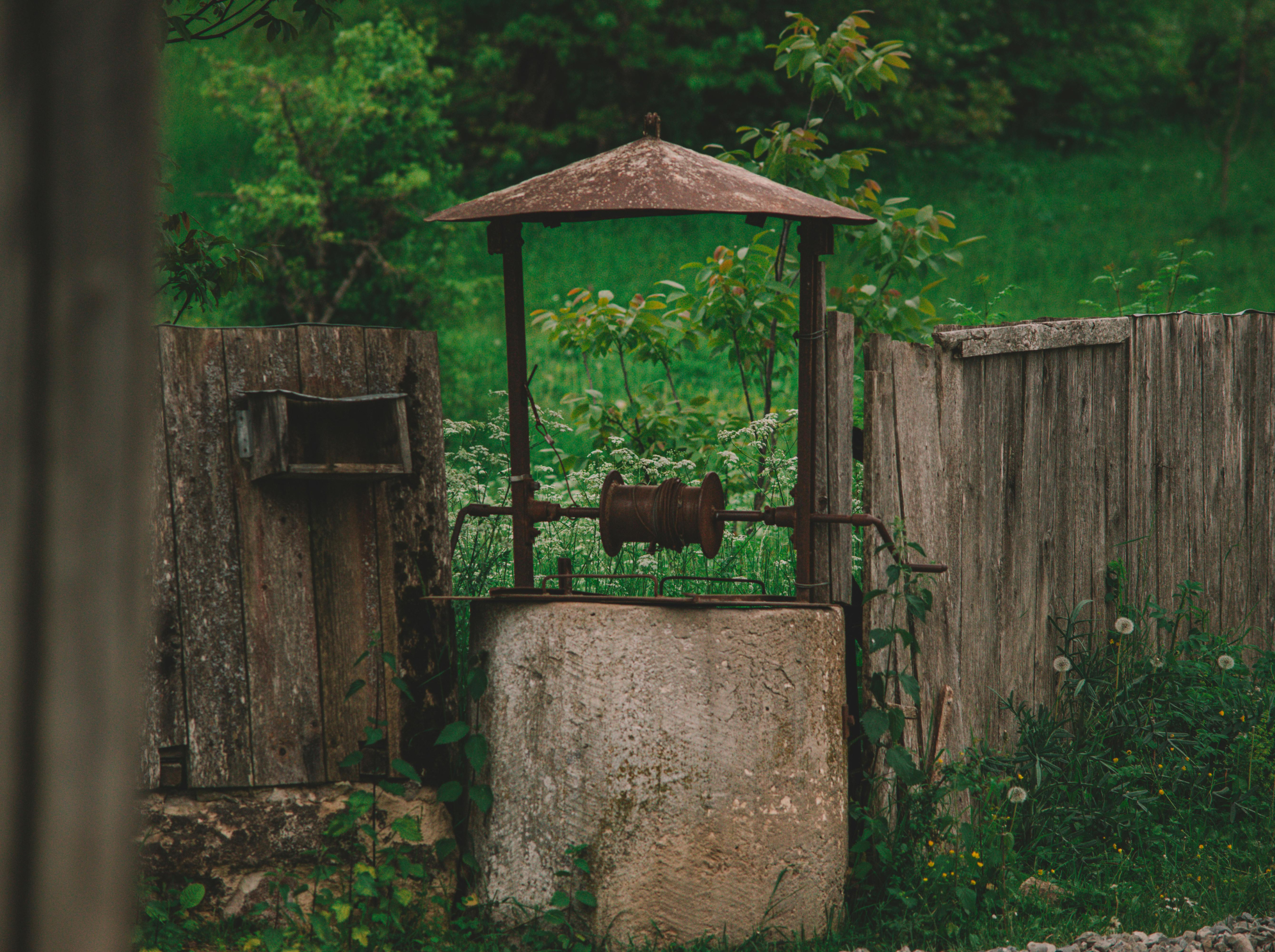 The Bluebirds Were Her Friends 3/5