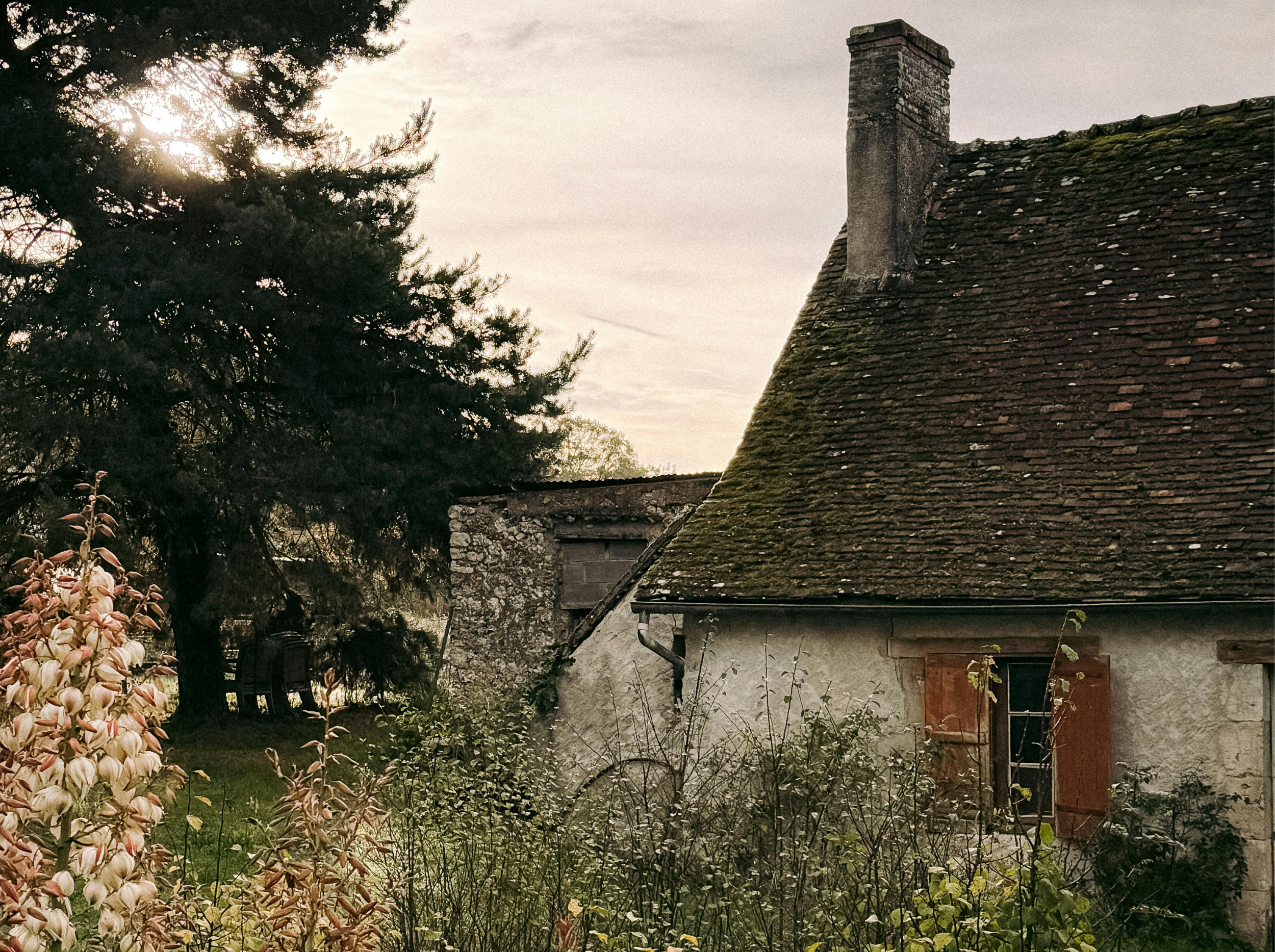 The Bluebirds Were Her Friends 5/5