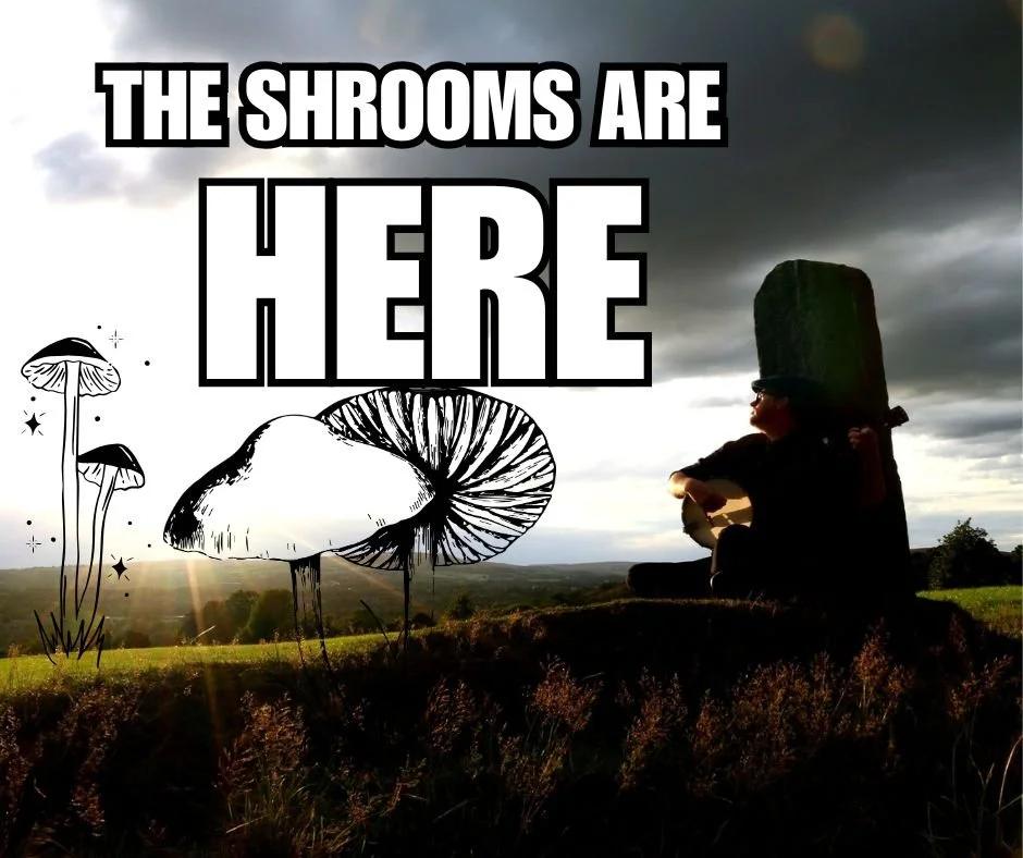 Magic Mushroom Hunting In The UK