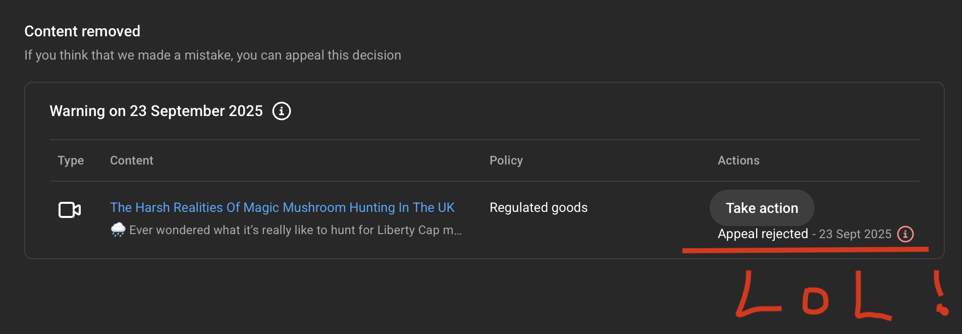 A video about magic mushrooms was banned from YouTube in the UK