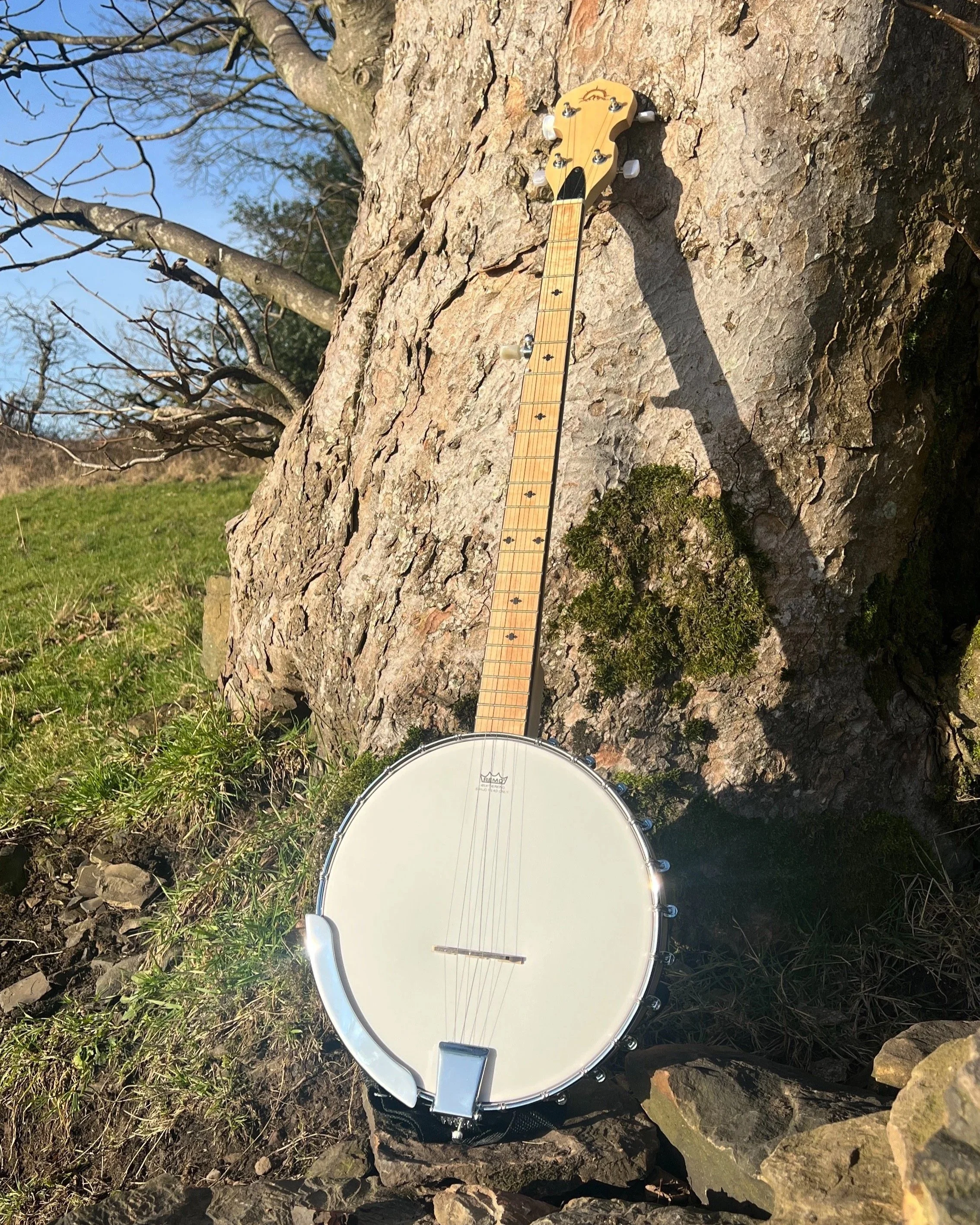 Open Back 5 String Banjo - Official Banjo Adventures Banjo