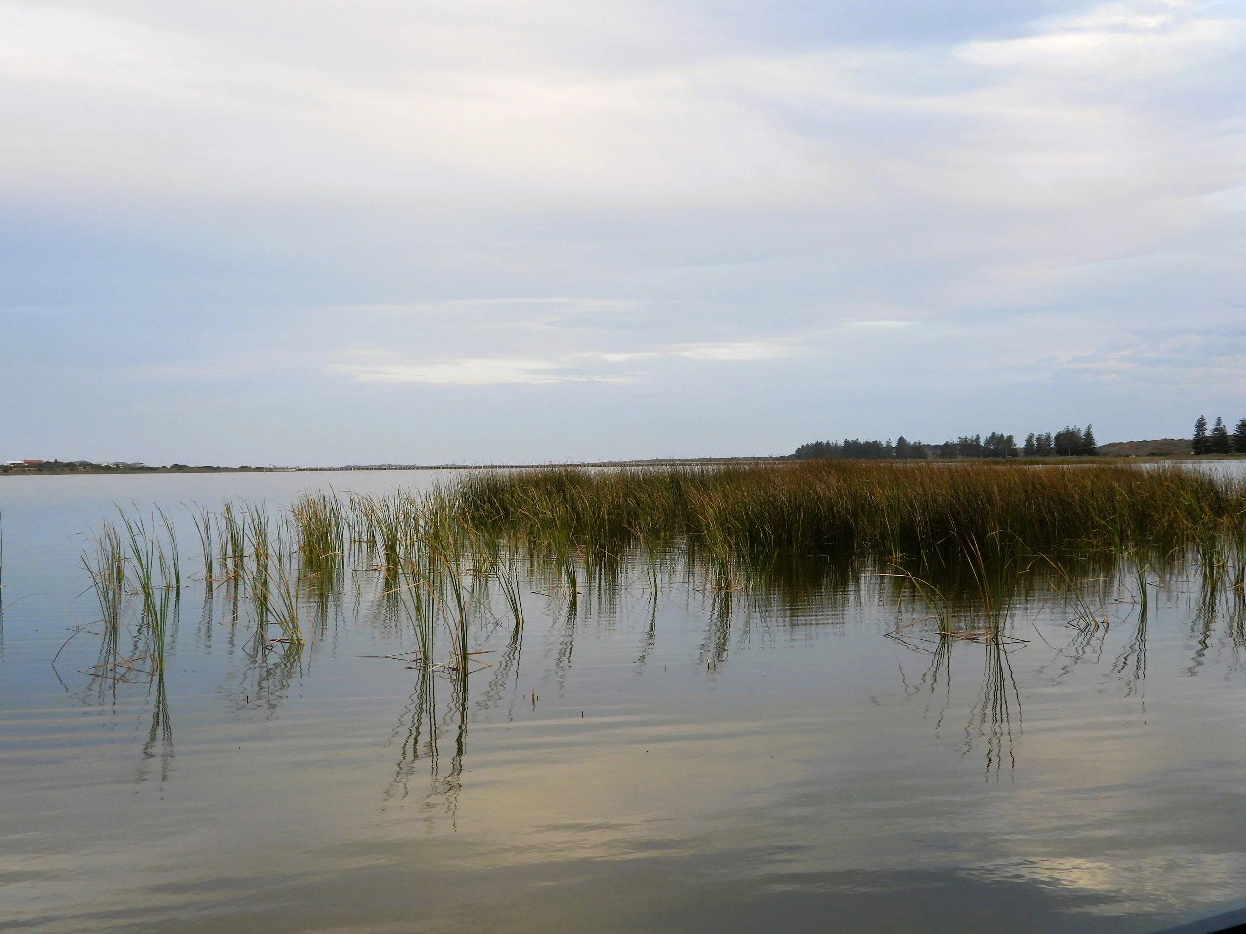 Not long until the first post!  